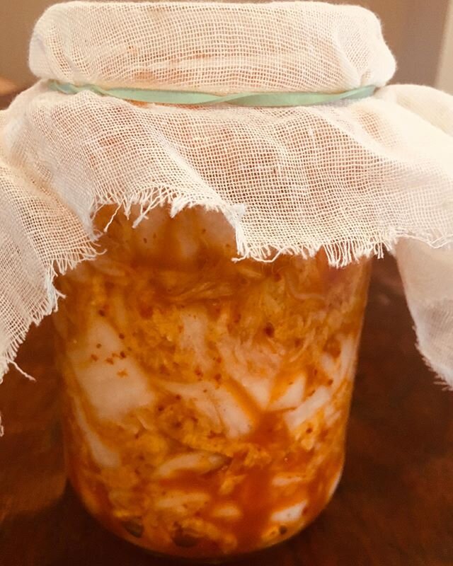 Homemade kimchee is so easy! Takes a week to ferment, so a little patience is all that&rsquo;s needed. The key? Use the very best red Korean chili flakes. .
.
.
.
.
.
.
.
.
. .

#eatbetternotless #koreanfood #detox #happiness #naturalmedicine #kimche