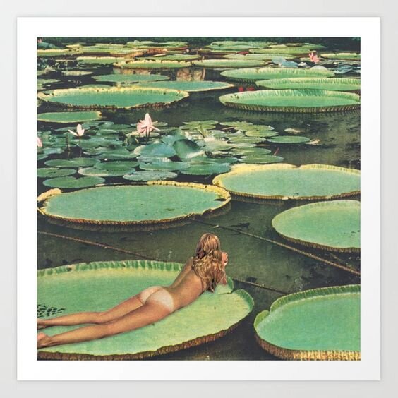 Lily Pond Art Print