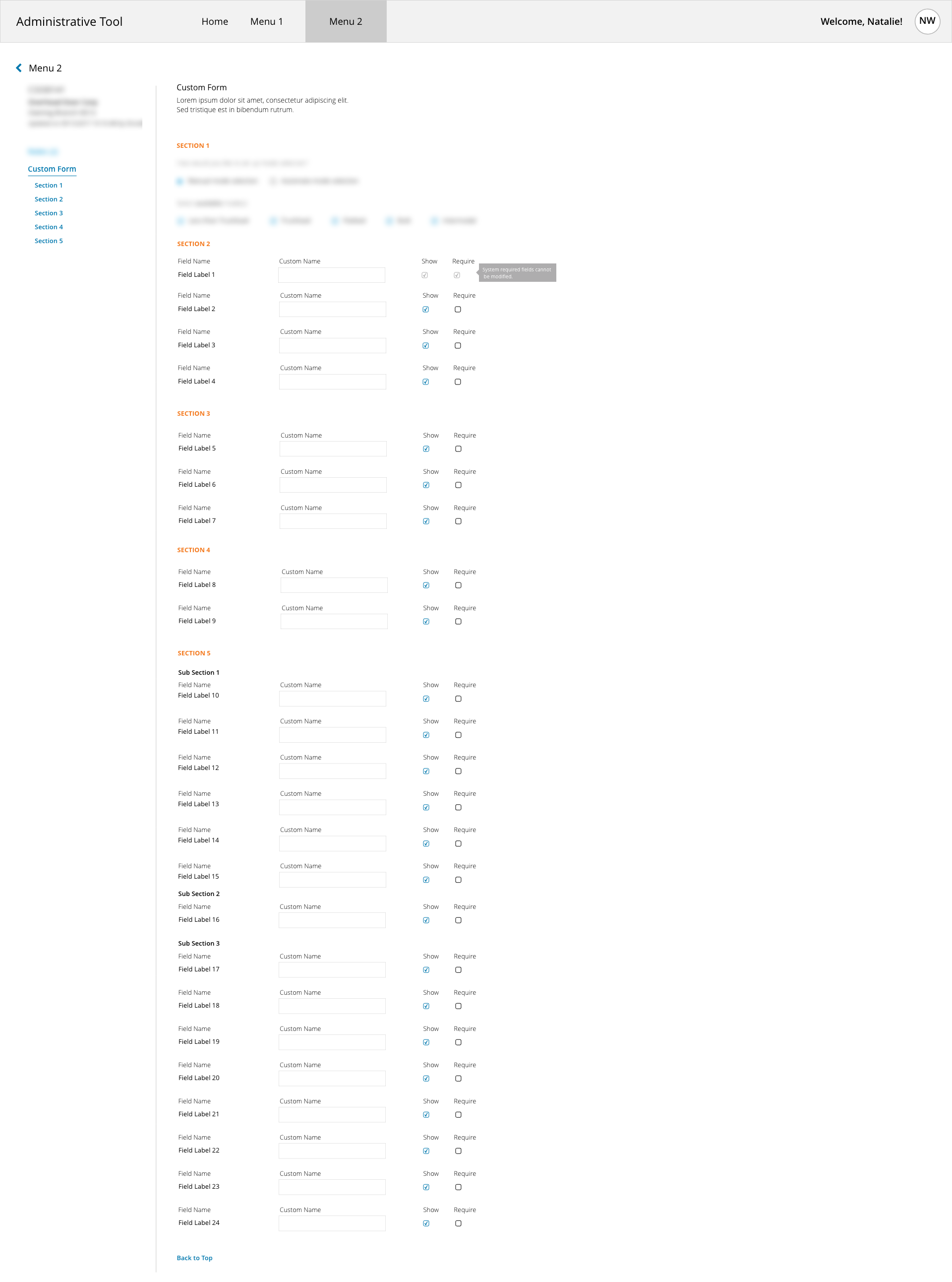 Users were asked to perform a basic task in this form.