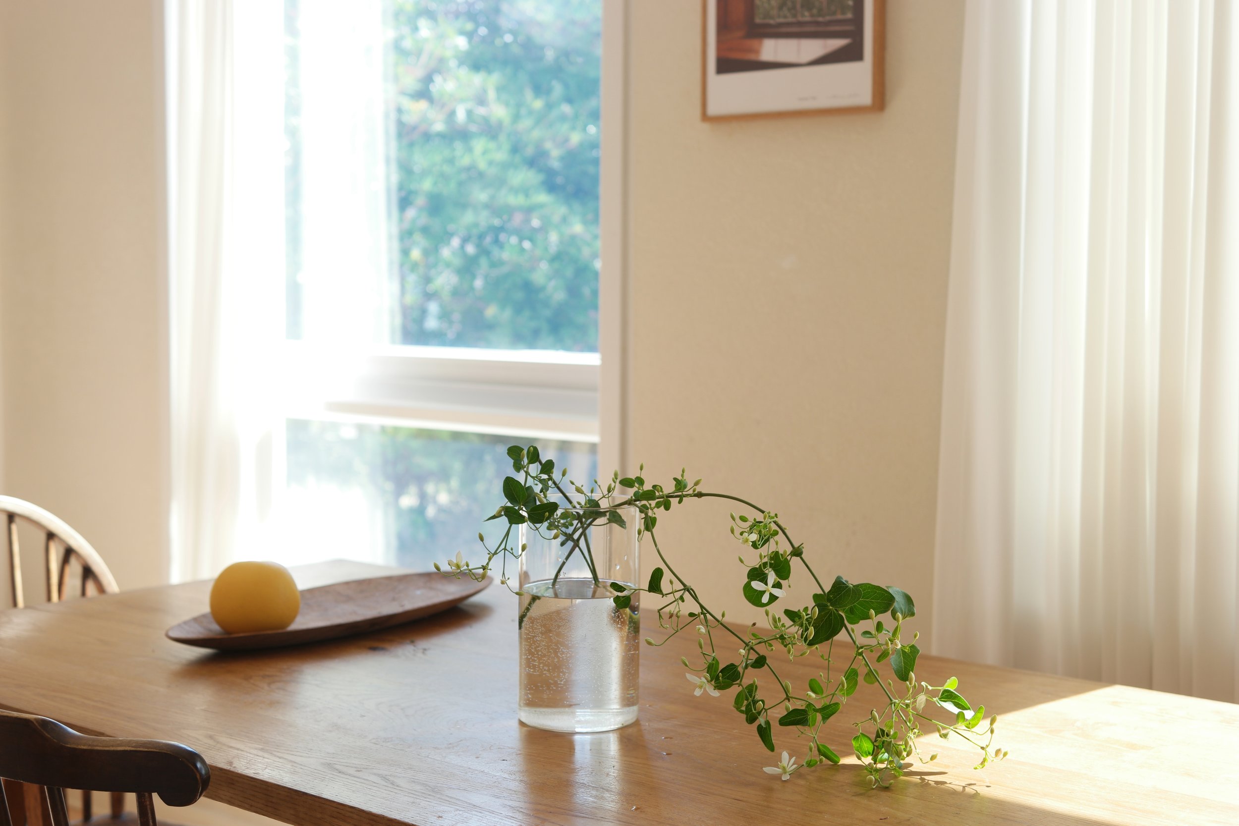 flowers at home [sold out]