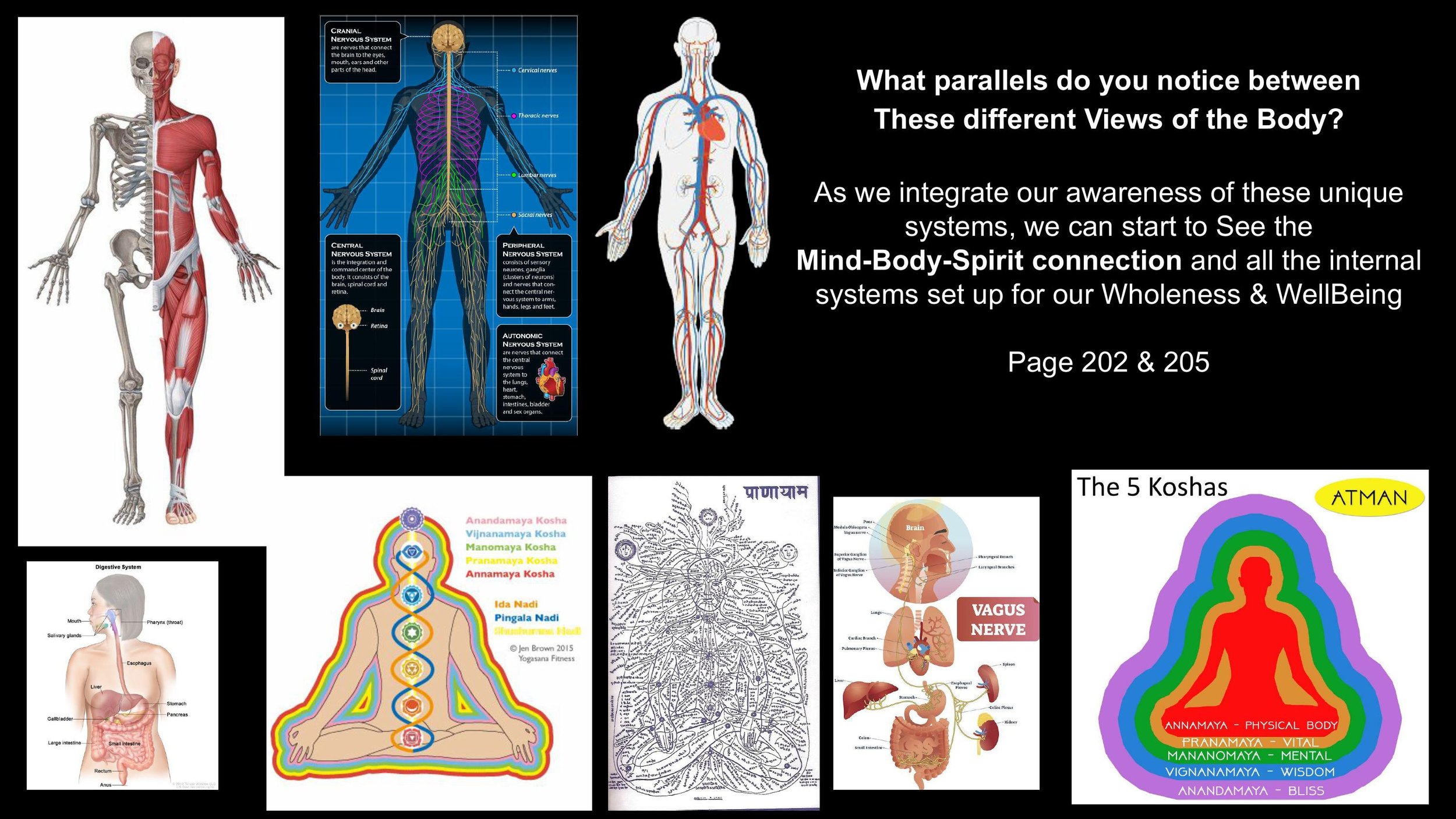 The Nervous System & The Subtle Body - Spring 25-images-14.jpg