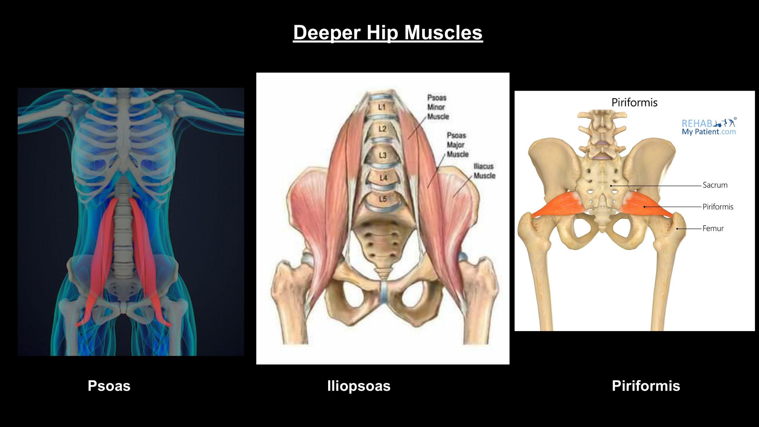 Anatomy - Pt 2 - Spring 2025-images-7.jpg