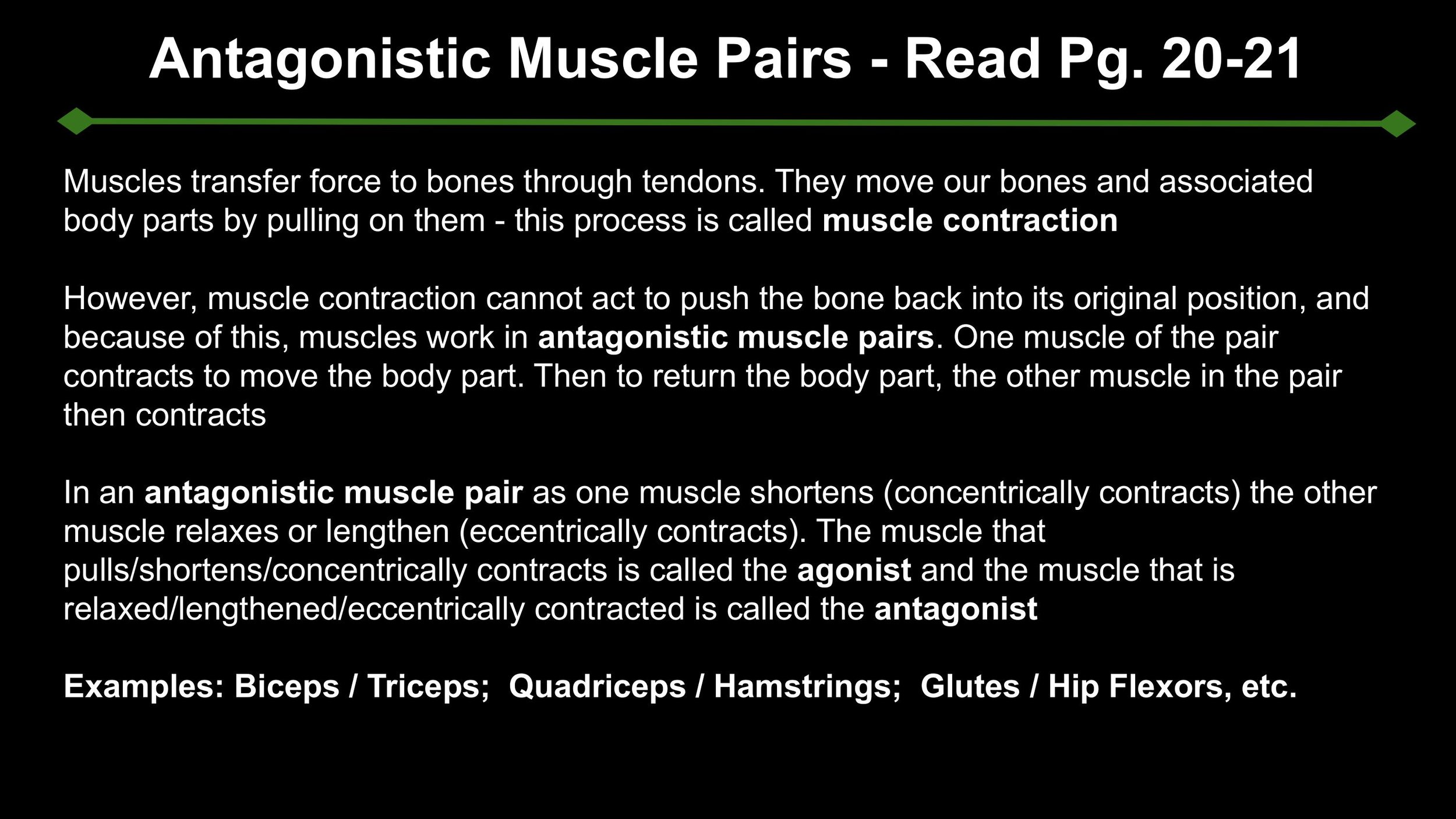 Anatomy - Pt 2 - Spring 2025-images-13.jpg