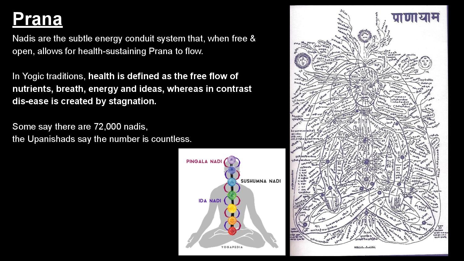 The Nervous System & The Subtle Body - Spring 23-page-010.jpg