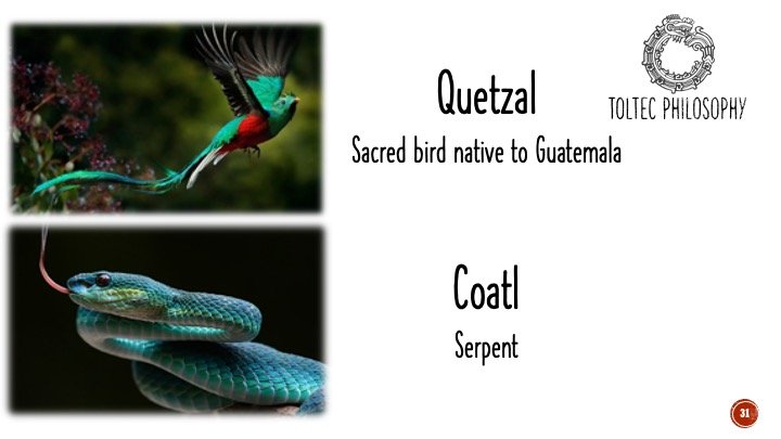 Slide31.jpeg