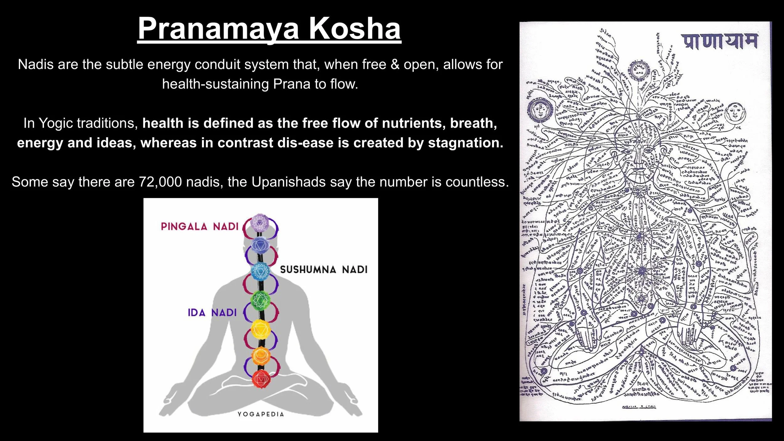 The Nervous System & The Subtle Body - Spring 25-images-4.jpg