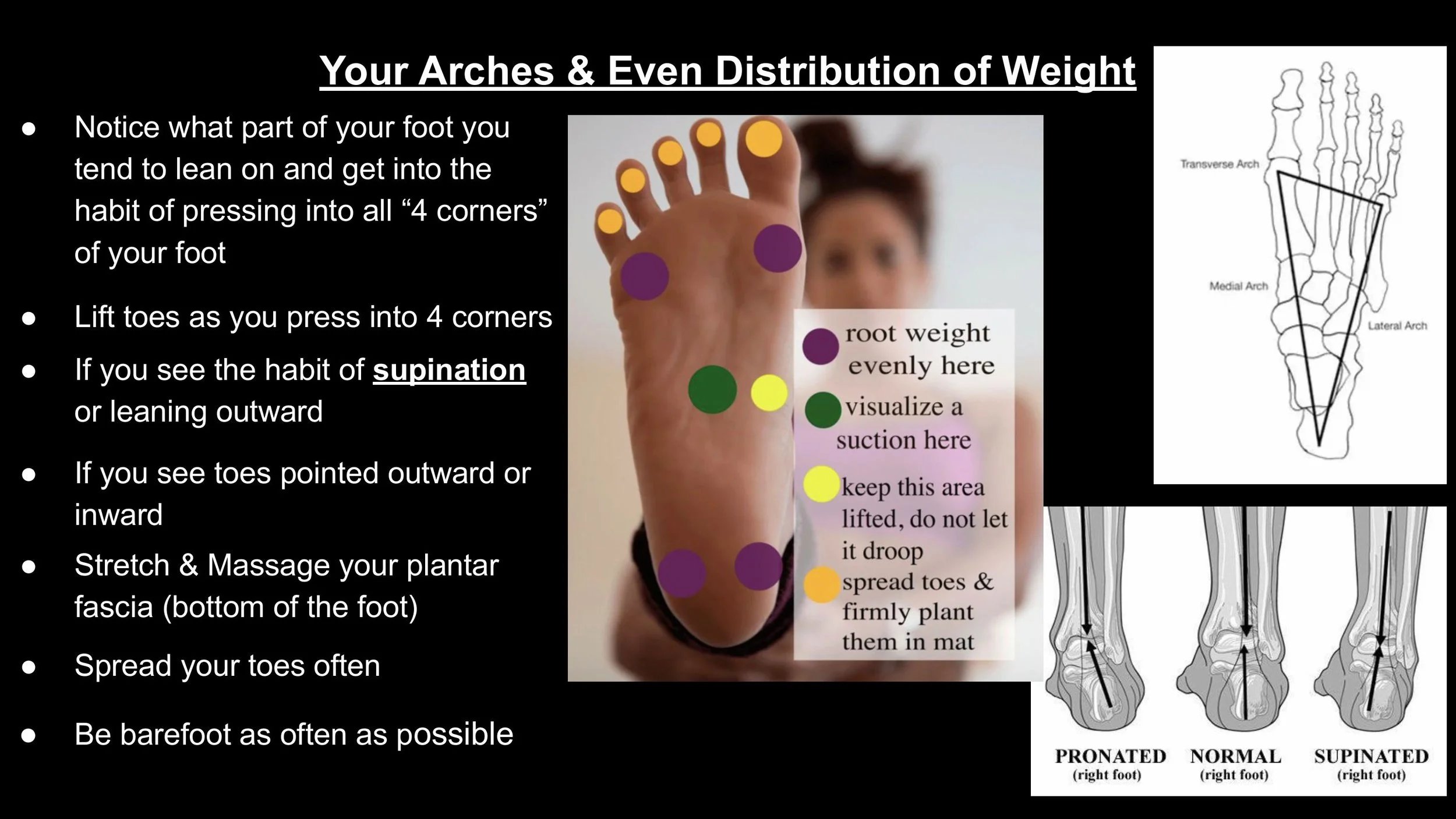 Anatomy - Pt 2 - Spring 2025-images-11.jpg