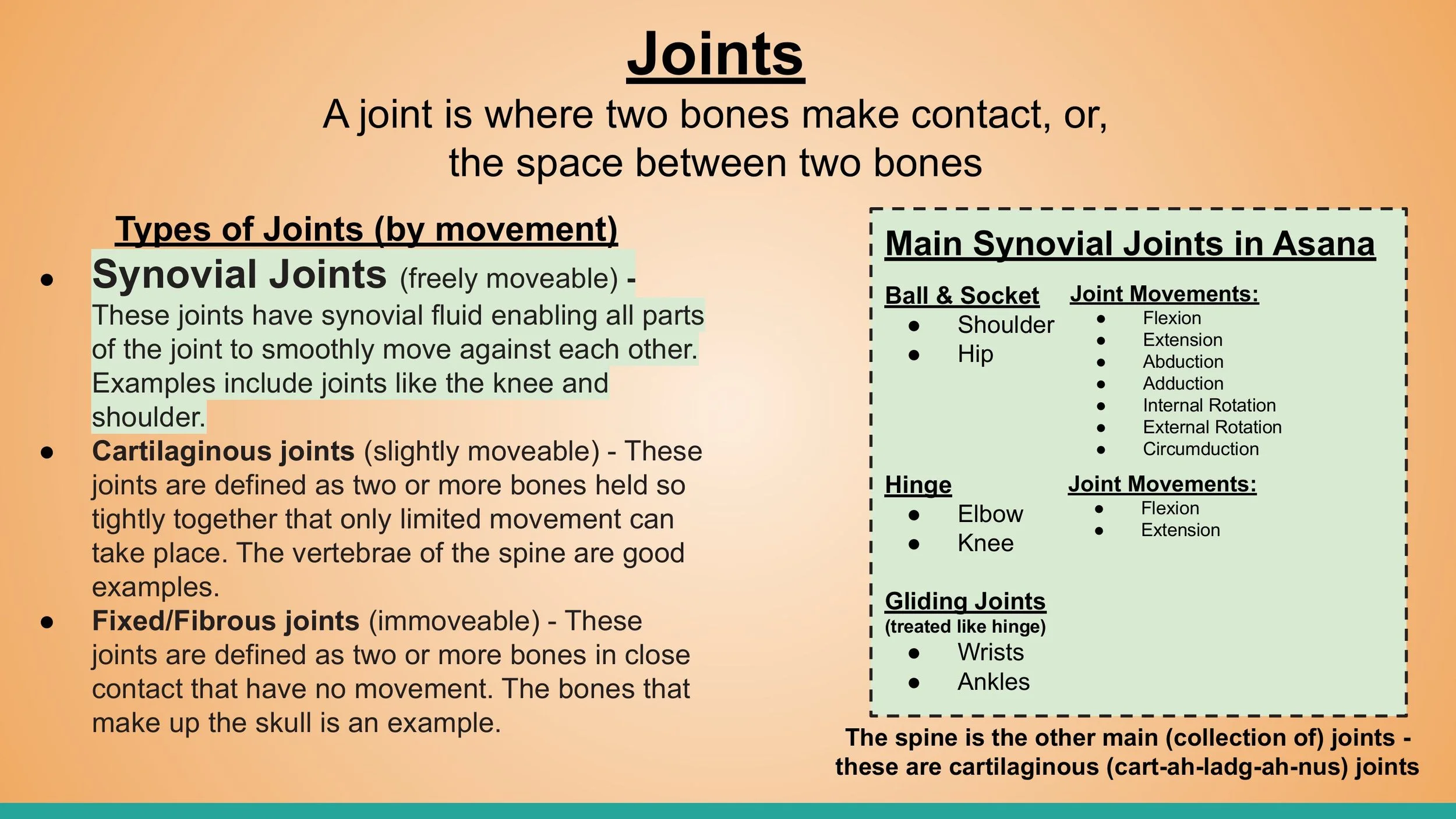 Anatomy - Pt. 1 - 1st Weekend - Spring 2025.pptx-images-8.jpg