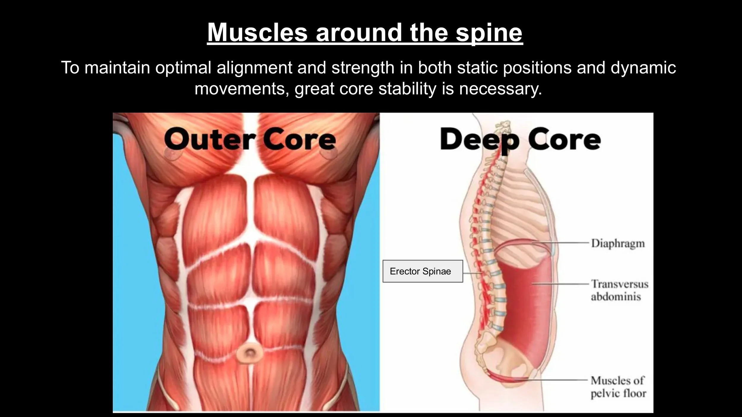 Anatomy - Pt 2 - Spring 2025-images-8.jpg