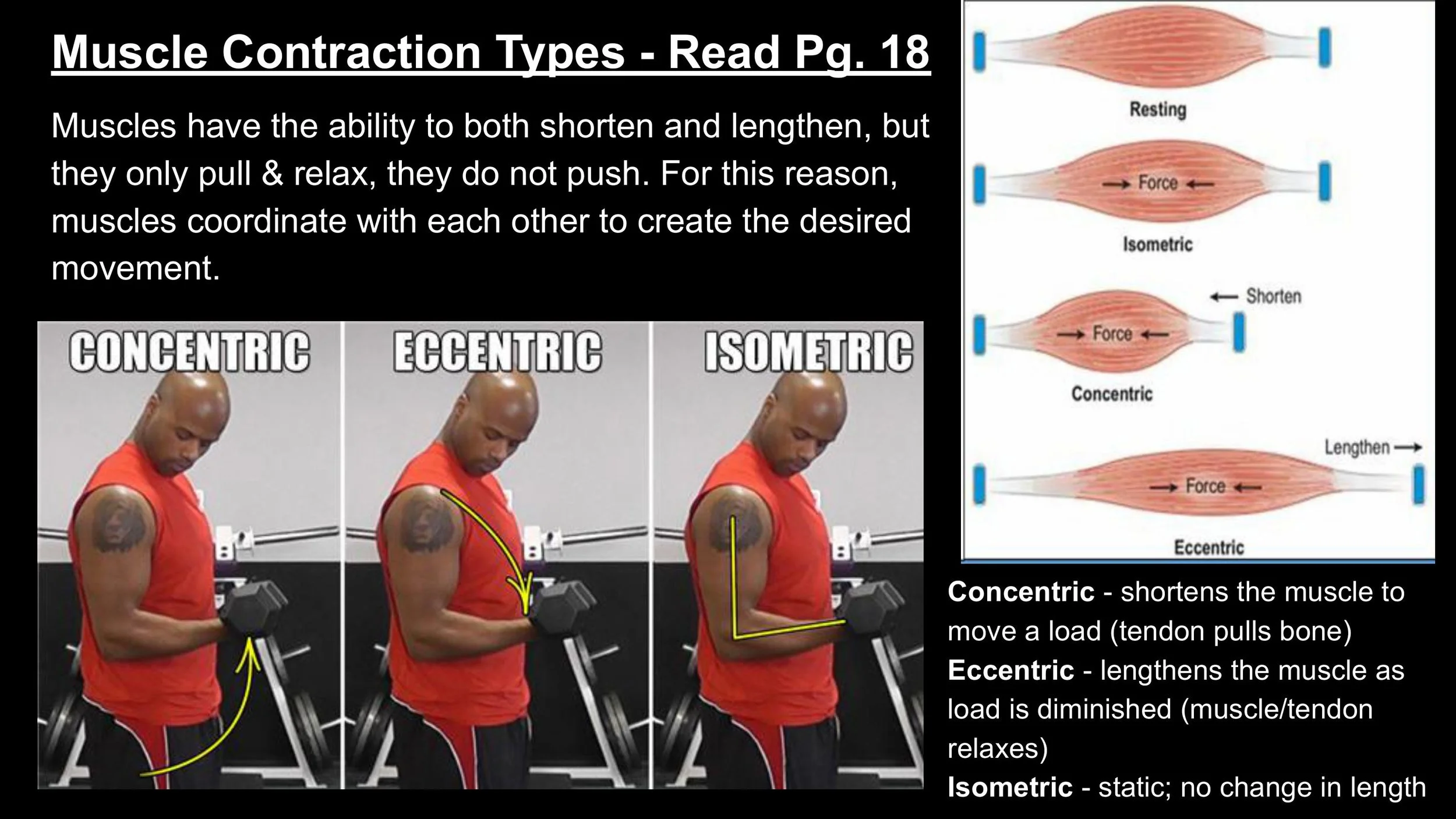 Anatomy - Pt 2 - Spring 2025-images-12.jpg