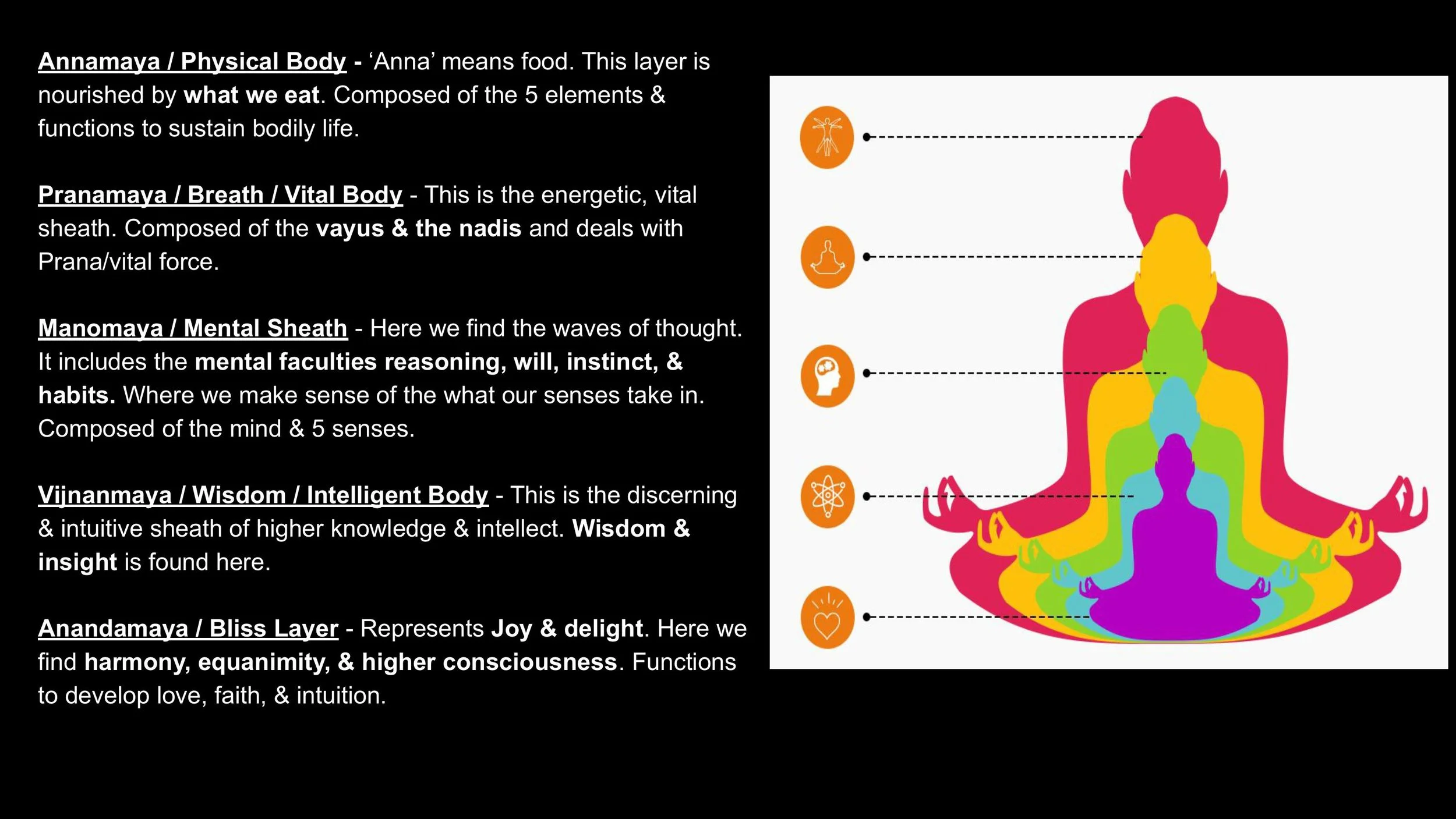 The Nervous System & The Subtle Body - Spring 25-images-2.jpg