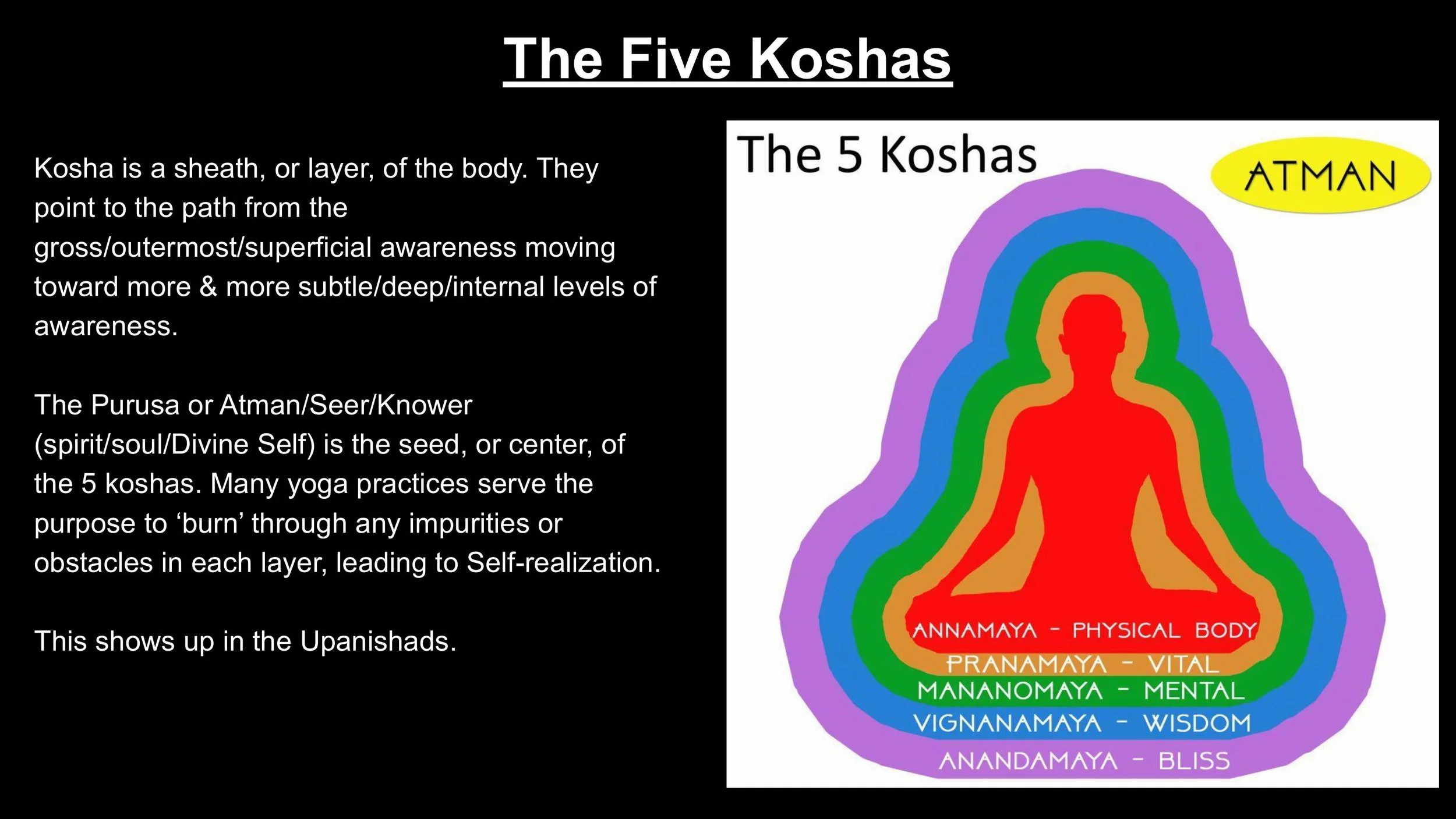 The Nervous System & The Subtle Body - Spring 25-images-1.jpg