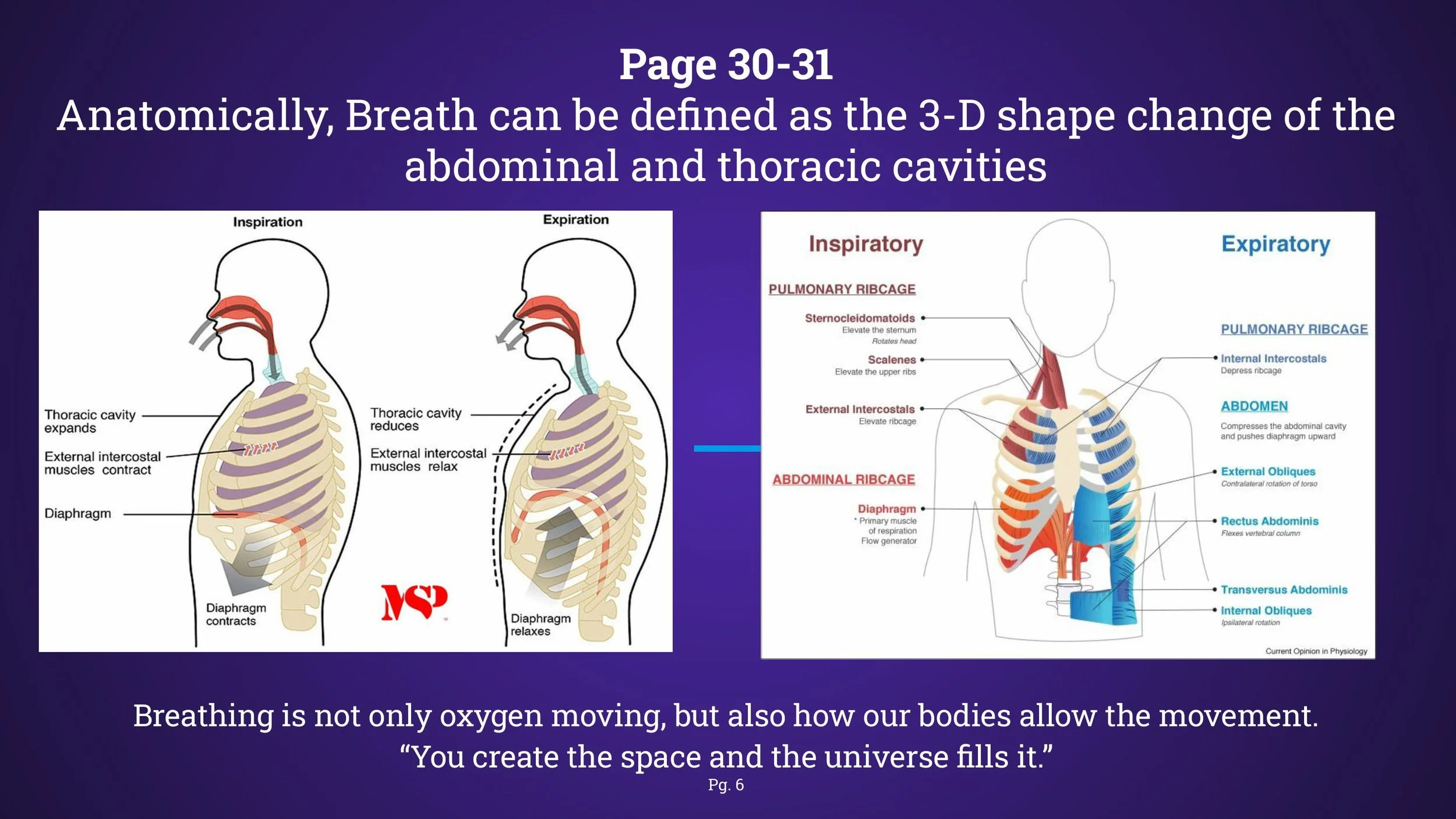 Pranayama - Spring 2025-images-5.jpg