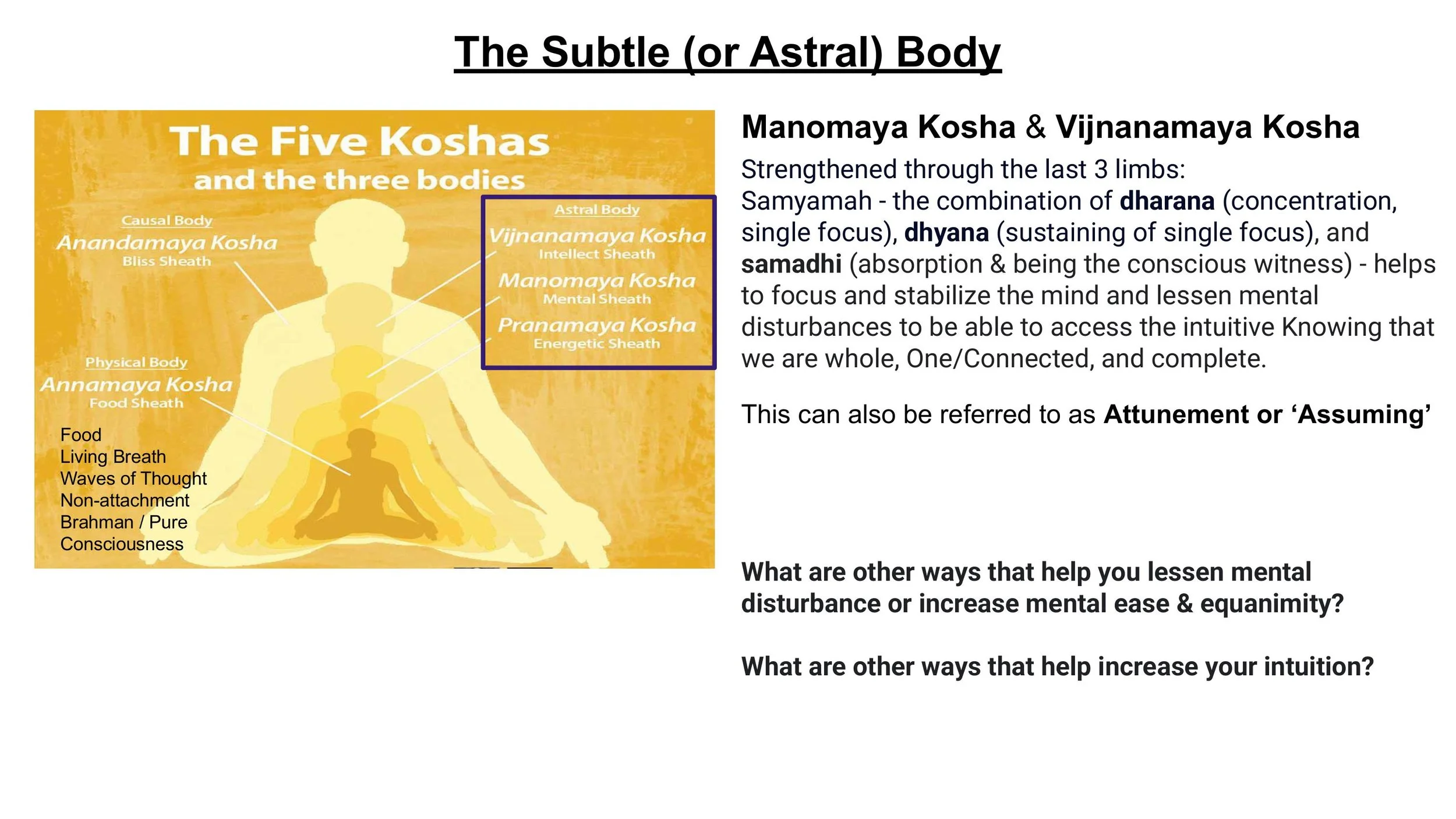 The Nervous System & The Subtle Body - Spring 25-images-3.jpg