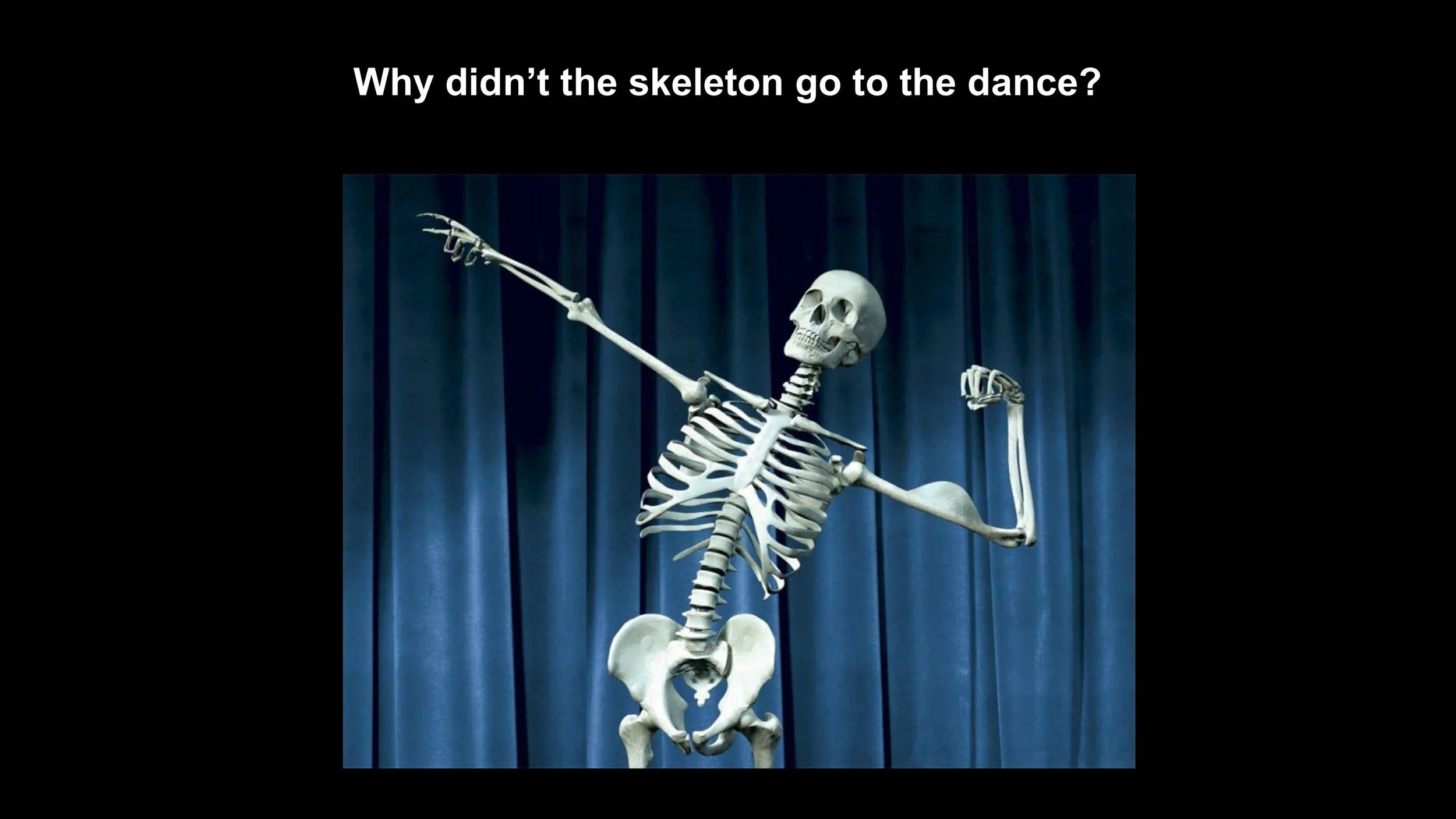 Anatomy - Pt 2 - Spring 2025-images-0.jpg