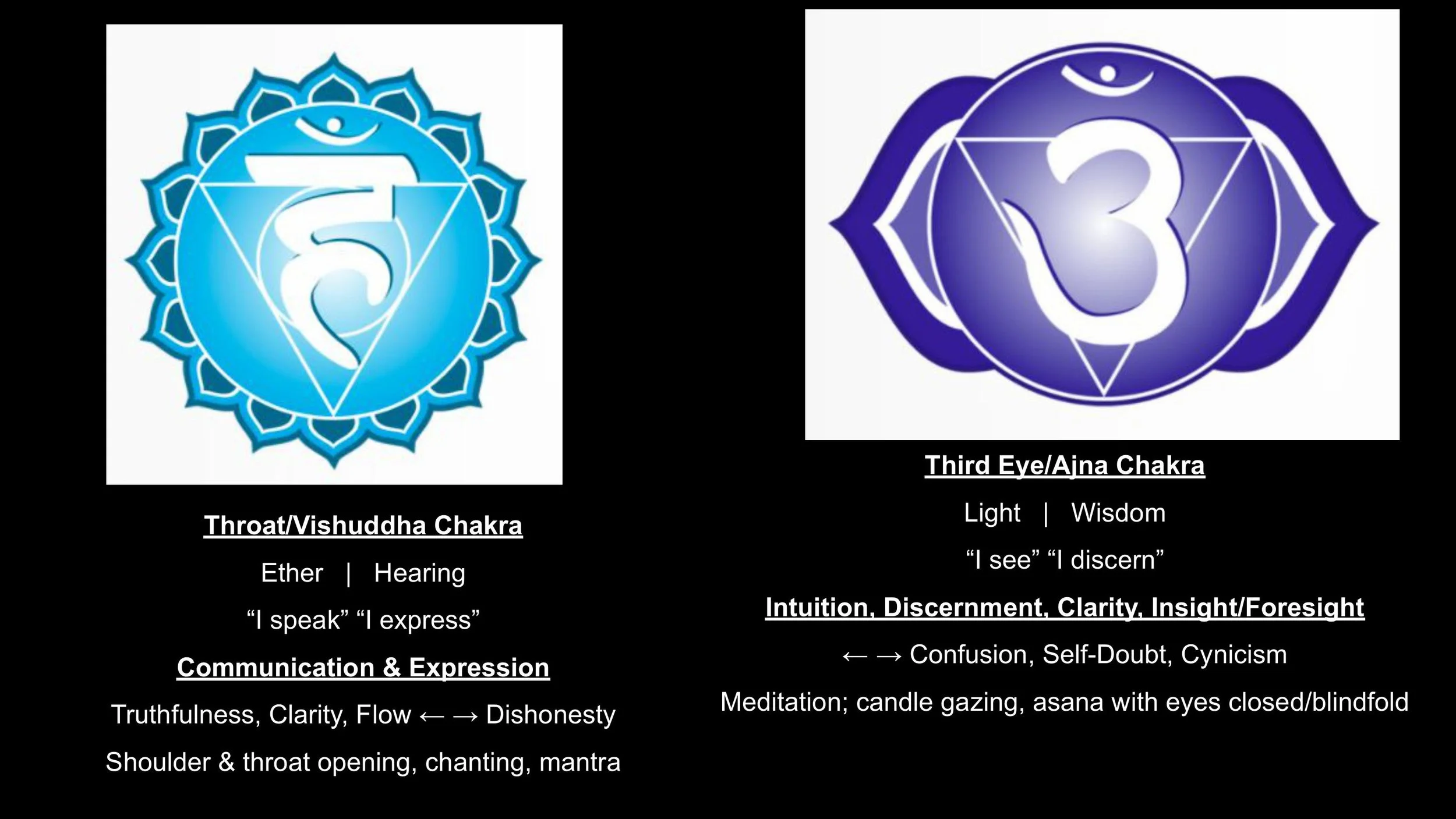 The Nervous System & The Subtle Body - Spring 25-images-18.jpg