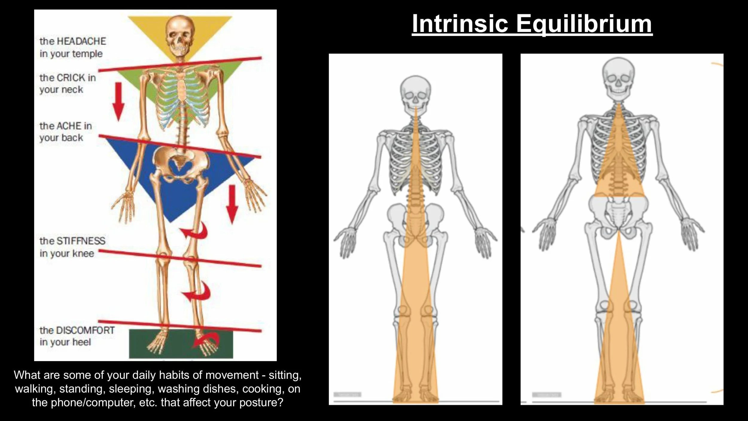Anatomy - Pt 2 - Spring 2025-images-2.jpg