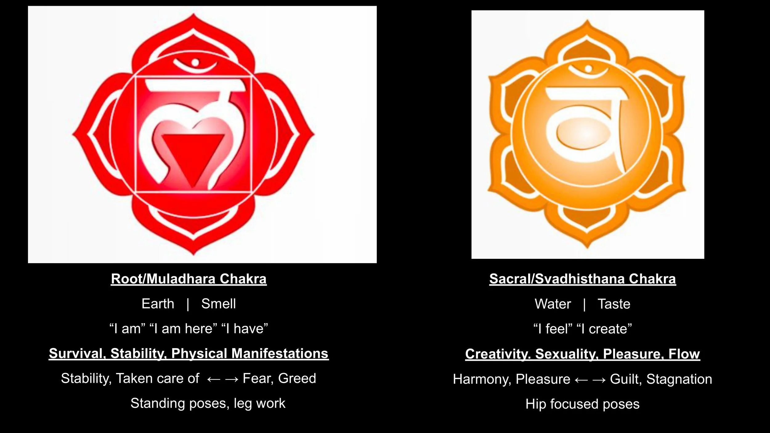 The Nervous System & The Subtle Body - Spring 25-images-16.jpg