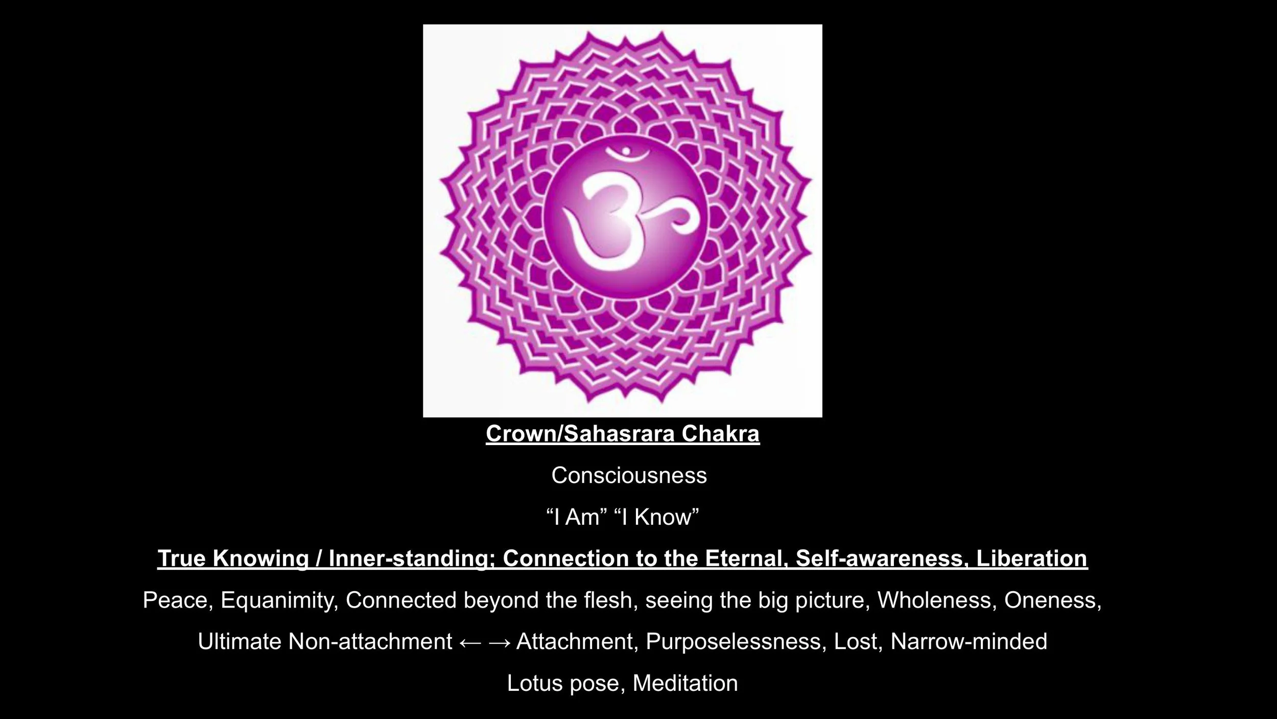 The Nervous System & The Subtle Body - Spring 25-images-19.jpg