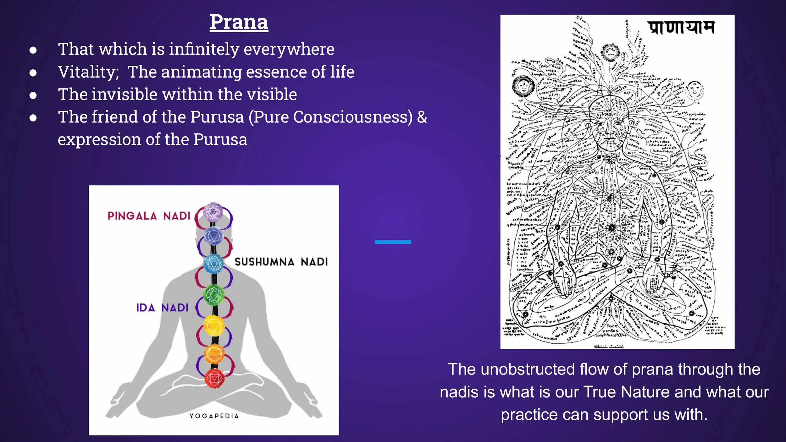 Pranayama - Spring 2025-images-1.jpg