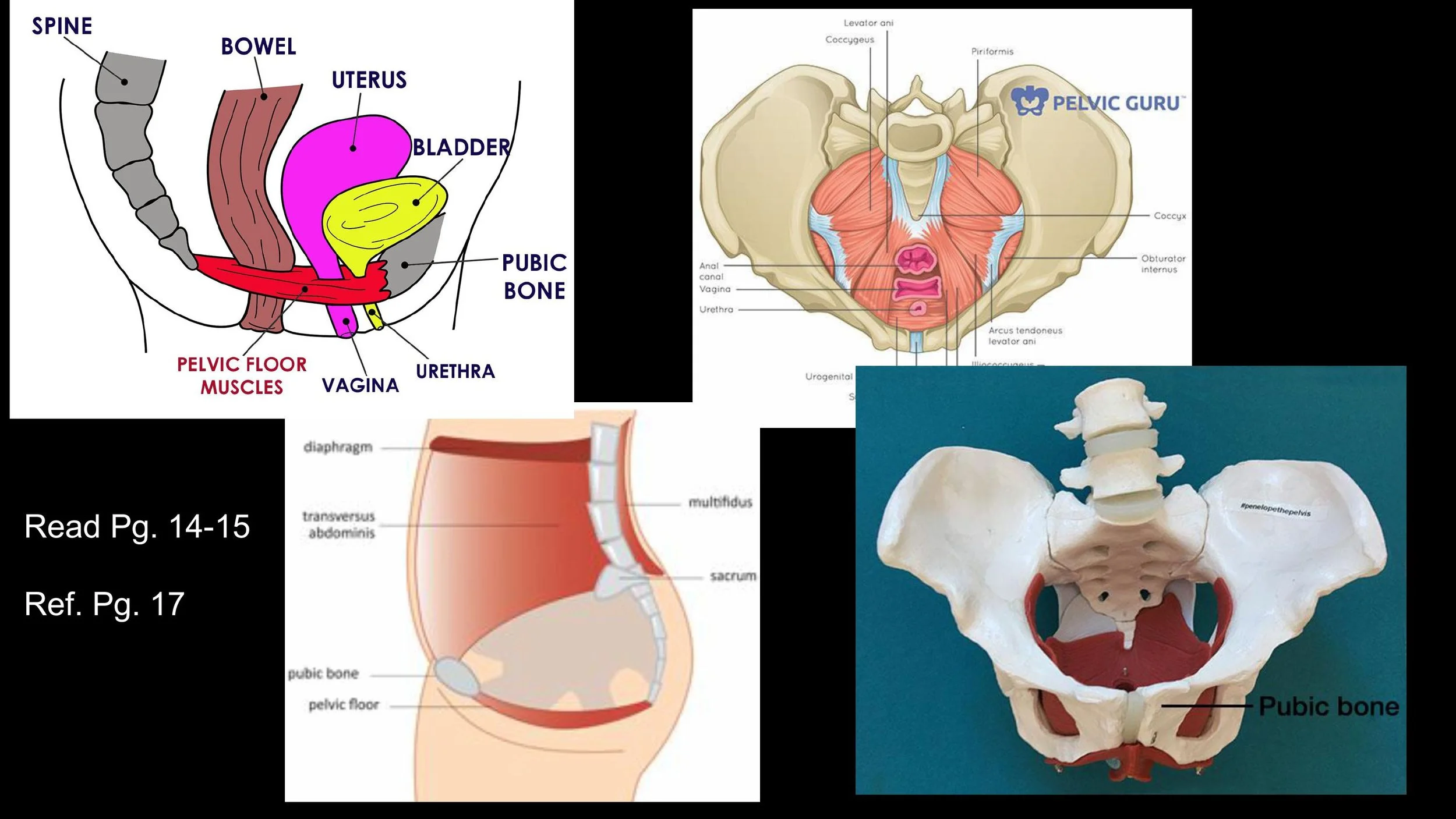 Anatomy - Pt 2 - Spring 2025-images-10.jpg