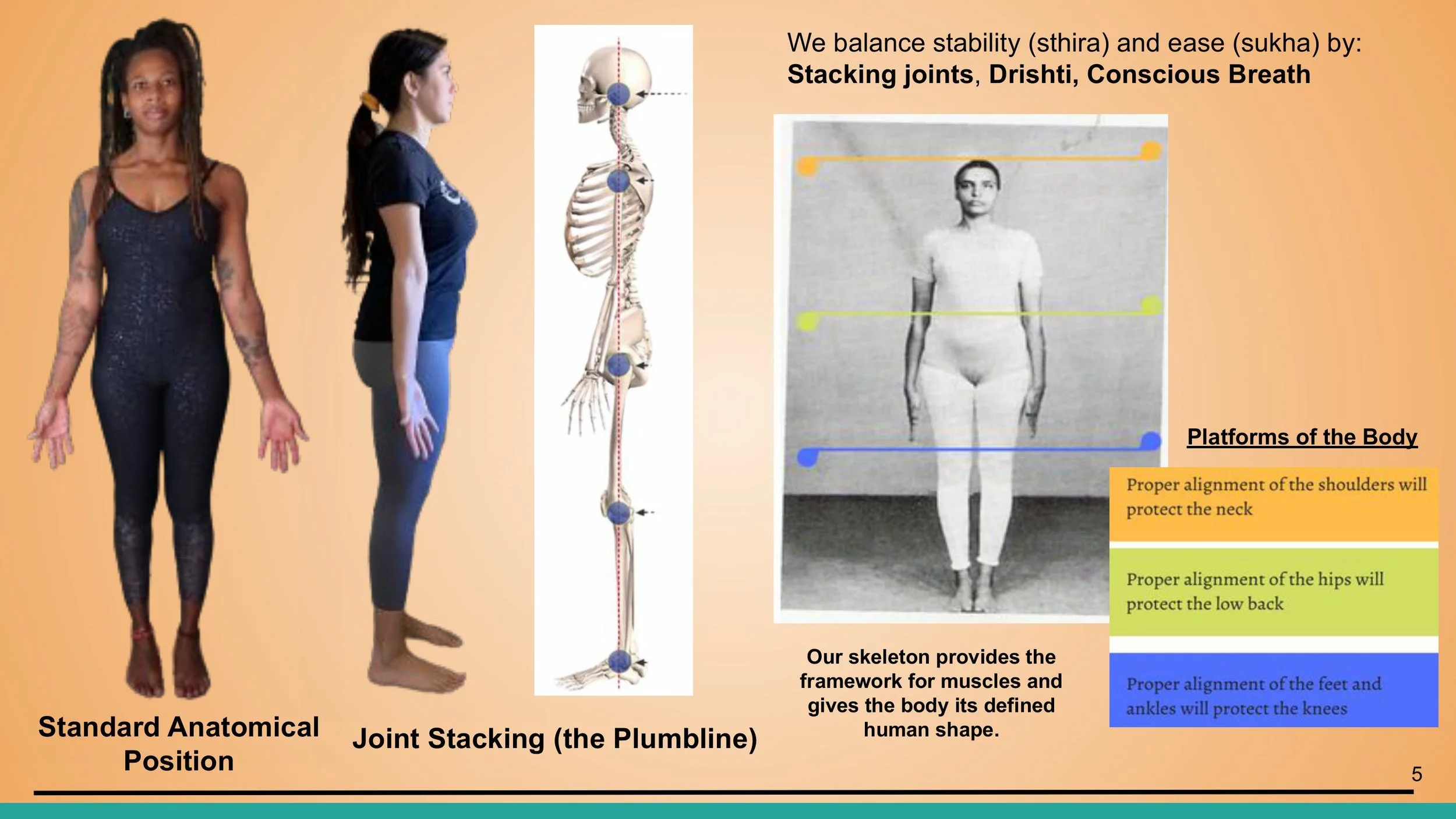 Anatomy - Pt. 1 - 1st Weekend - Spring 2025.pptx-images-4.jpg