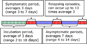A tick bite could produce these symptoms, but there are many other disease conditions which cause relapsing fevers. So, because the doctor was worried, he had the patient take many lab tests.