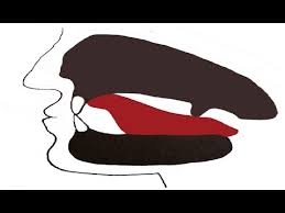 Lightly touch the sides of the tongue. The center of the tongue leaves a narrow wind tunnel at the hard pallet.