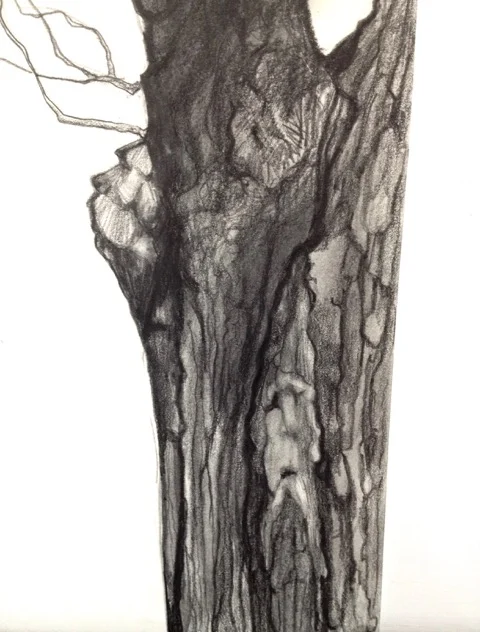 TREE SPIRIT III PENCIL AND CHARCOAL ON PAPER