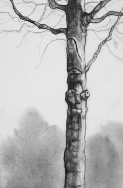 TREE SPIRIT IV PENCIL AND CHARCOAL ON PAPER