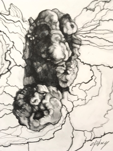 TREE SPIRIT VI PENCIL AND CHARCOAL ON PAPER