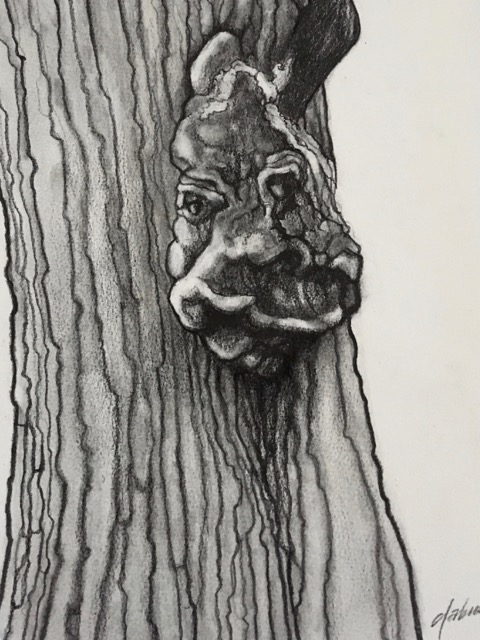TREE SPIRIT VII PENCIL AND CHARCOAL ON PAPER