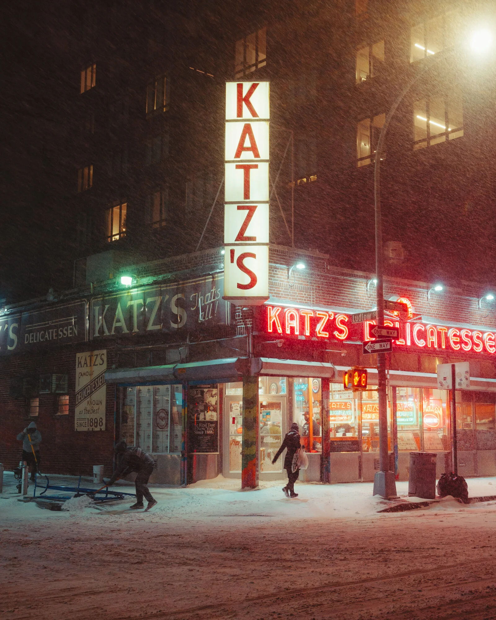 Katz in the Snow Print