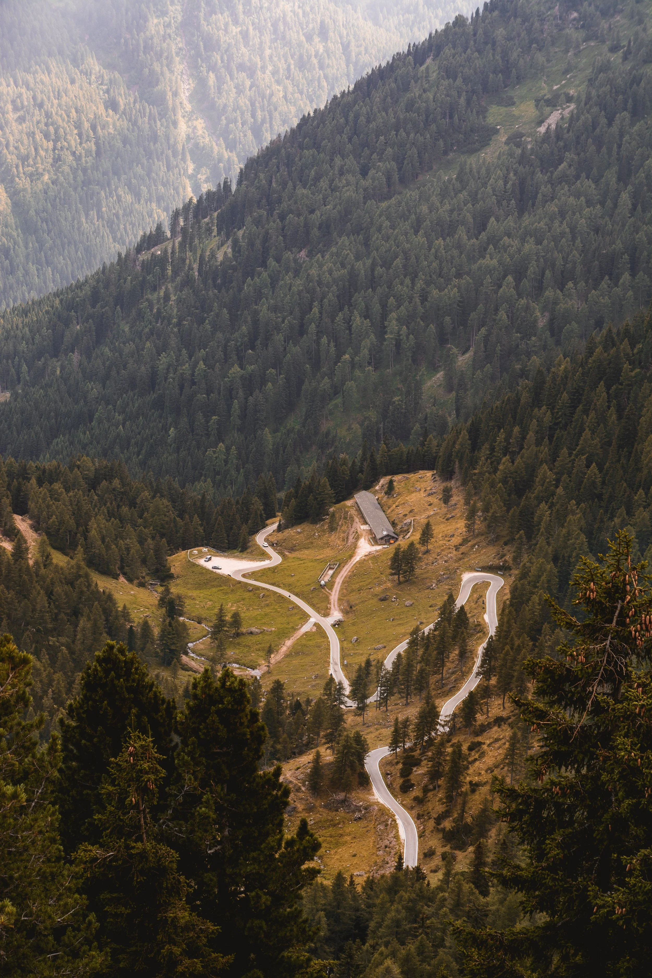 Pathways of Recovery
