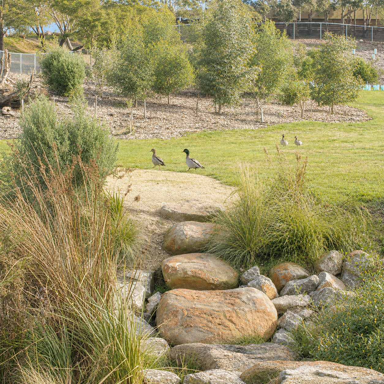 Landscaping.png