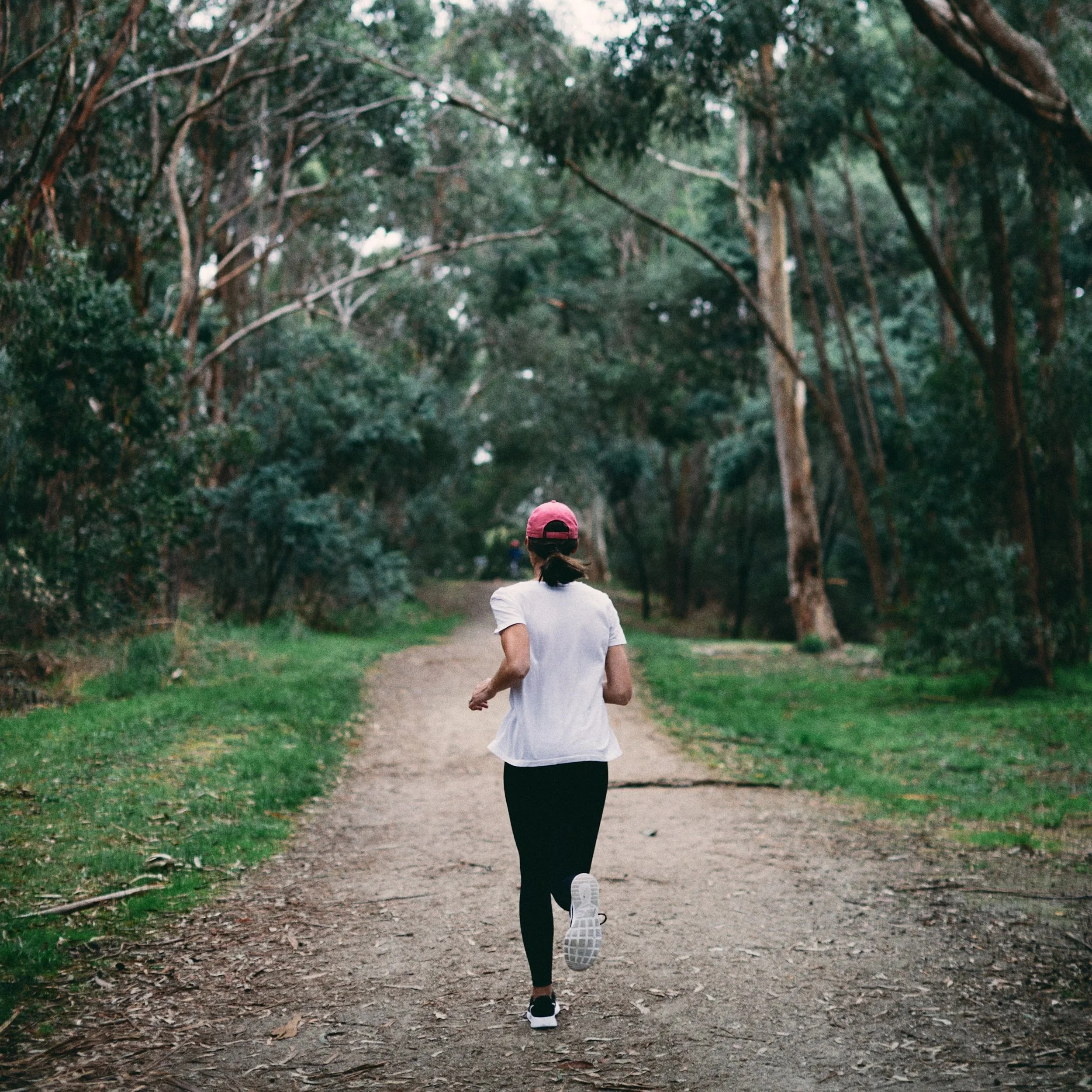 1DX27033.jpg