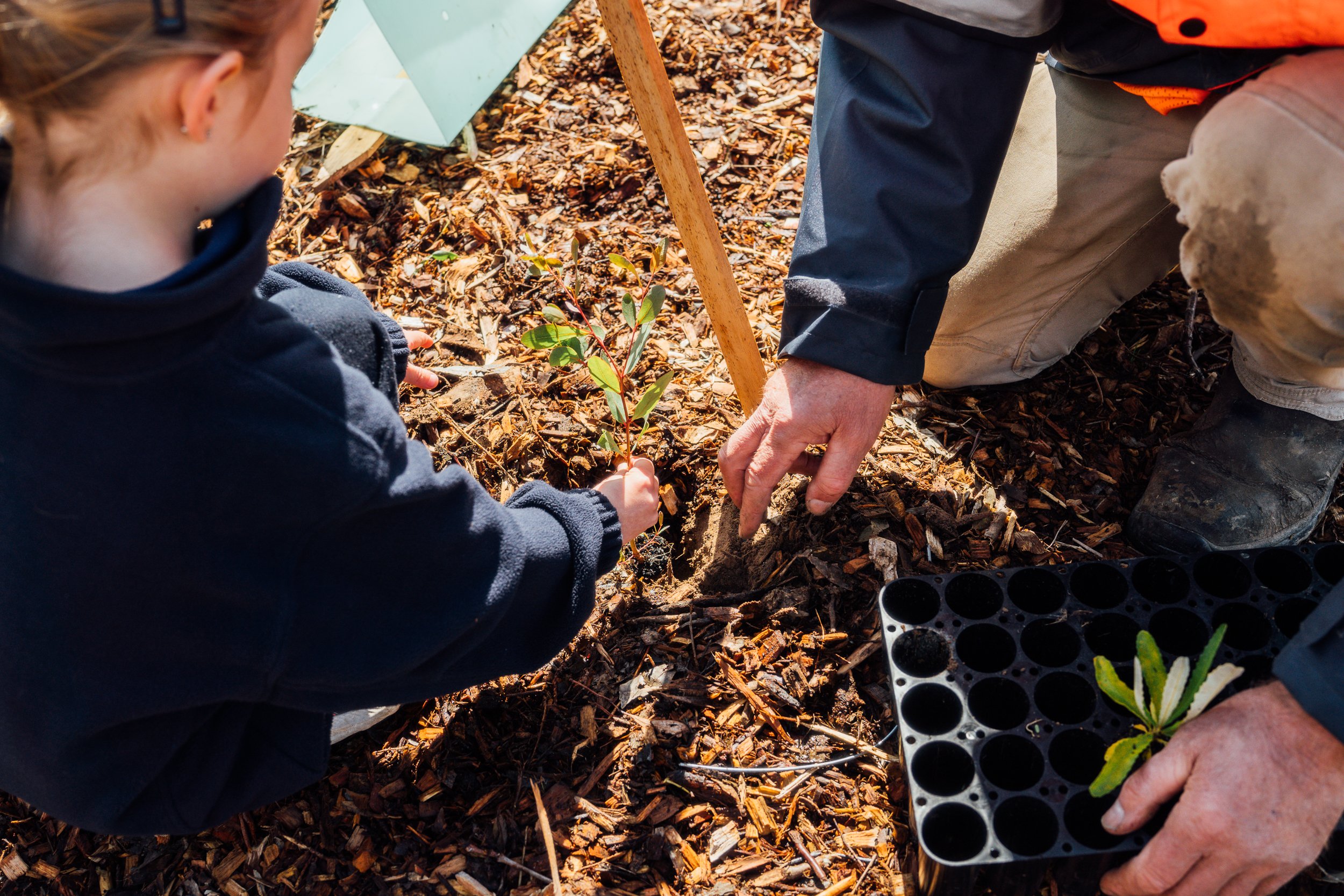 10. Students planting 2024.jpg