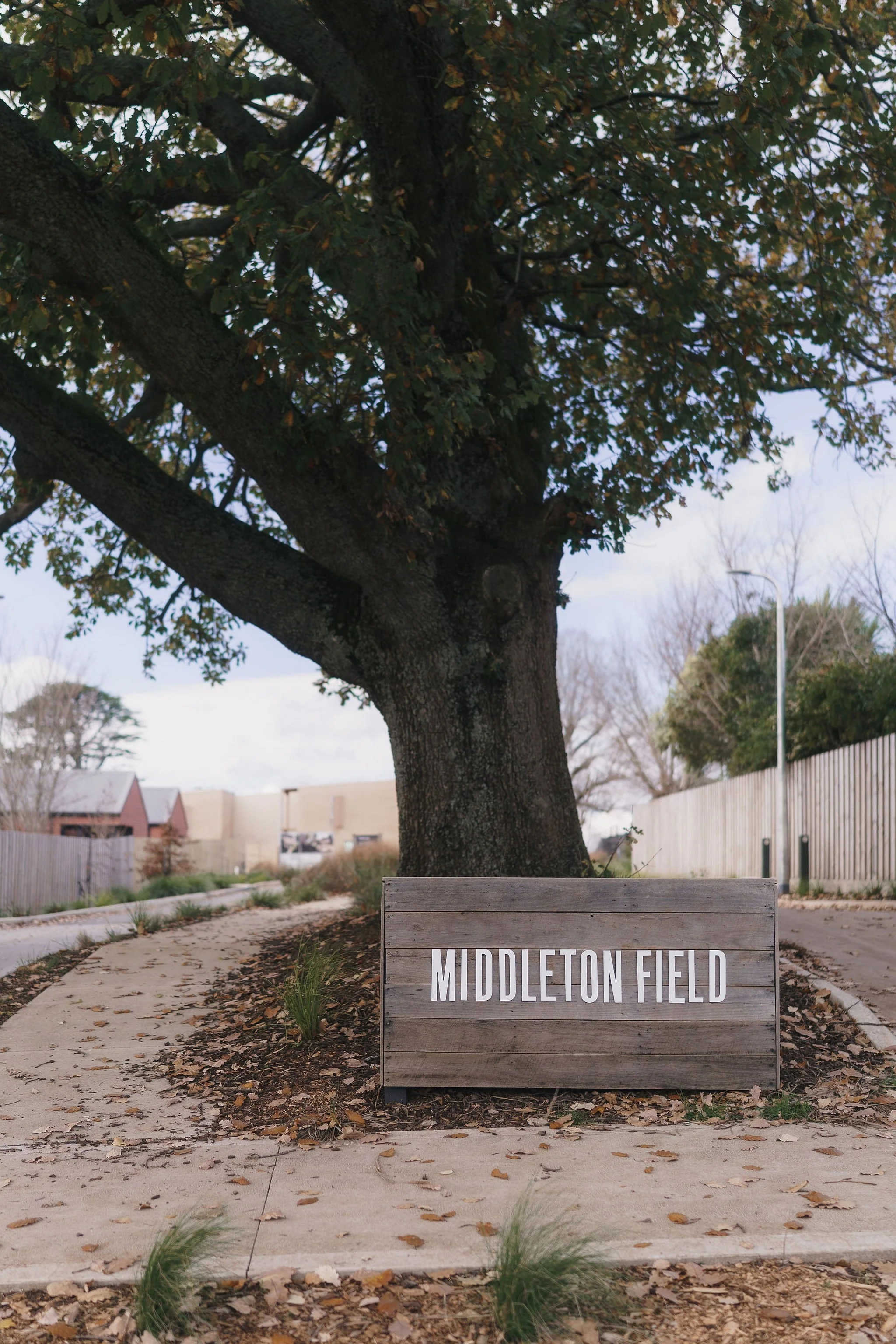 MiddletonField-55.jpg