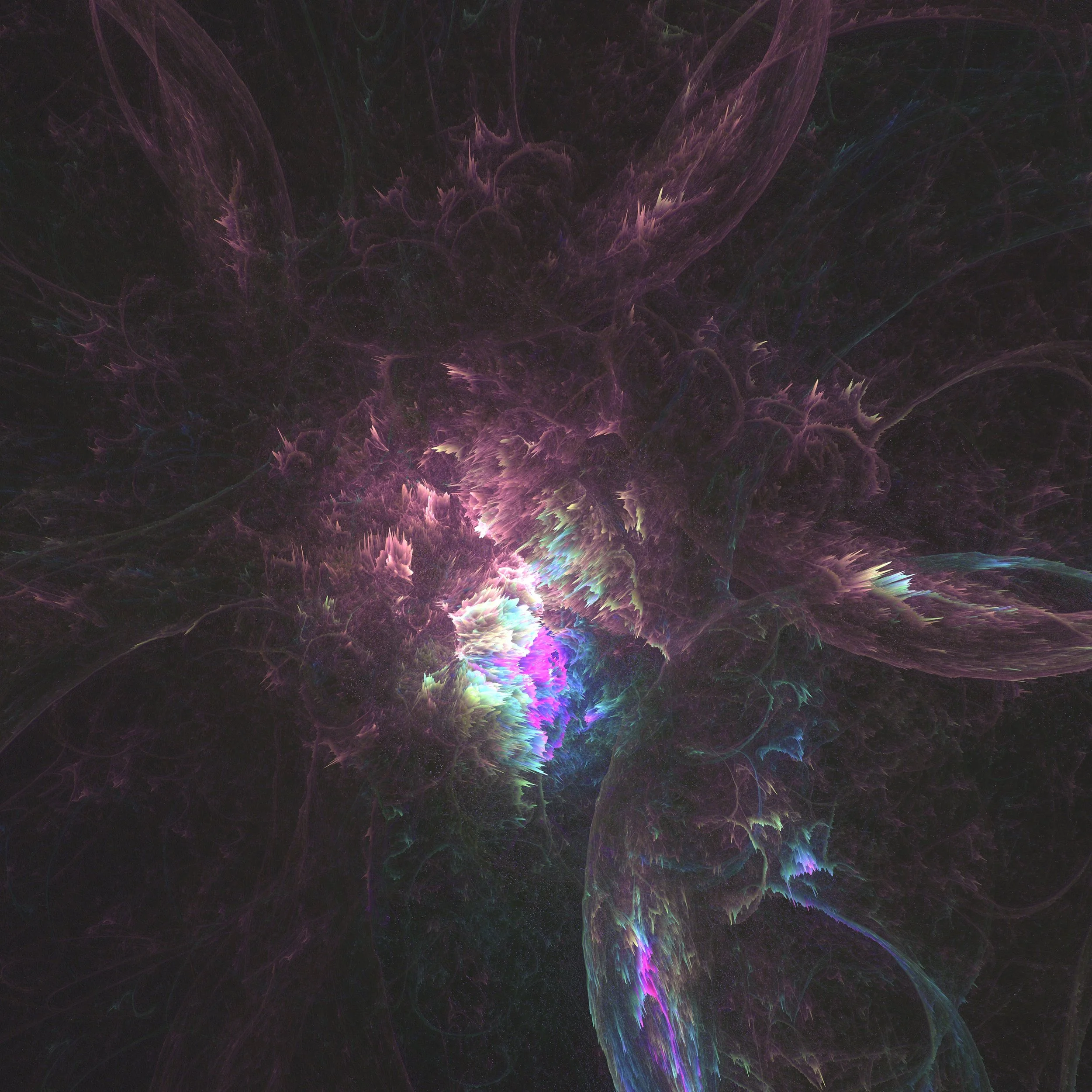1036 Engaged With Creation.jpg