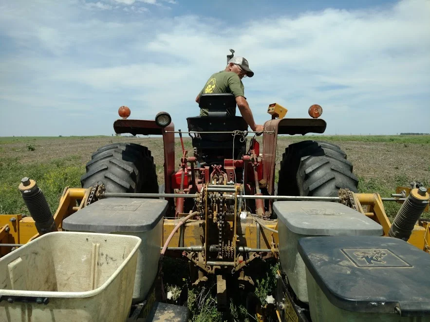 dad planting.jpg