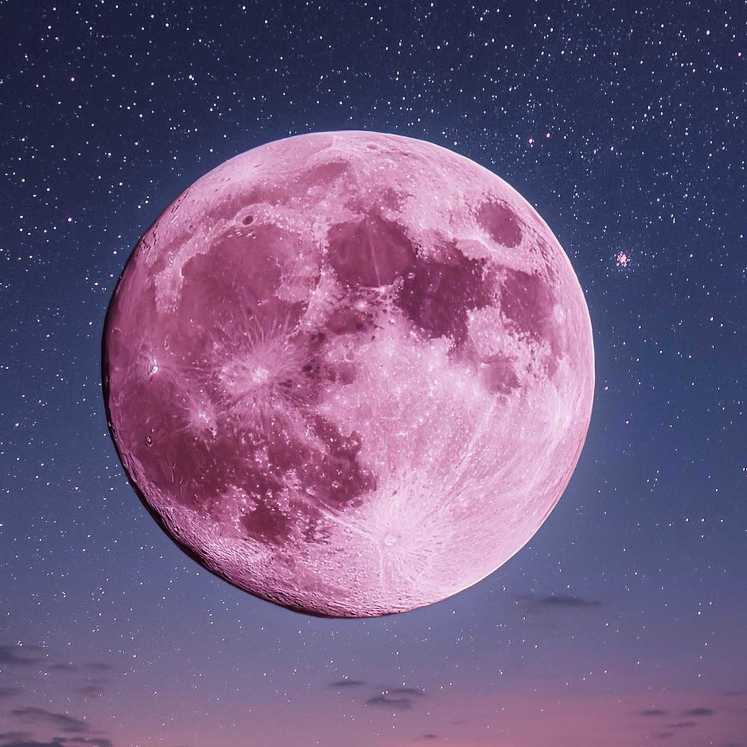 PINK MOON!

Nick Drake: https://music.apple.com/us/album/pink-moon/1567147188?i=1567147189

#pinkmoon #moon #supermoon #pinkmoon2024 #nightsky