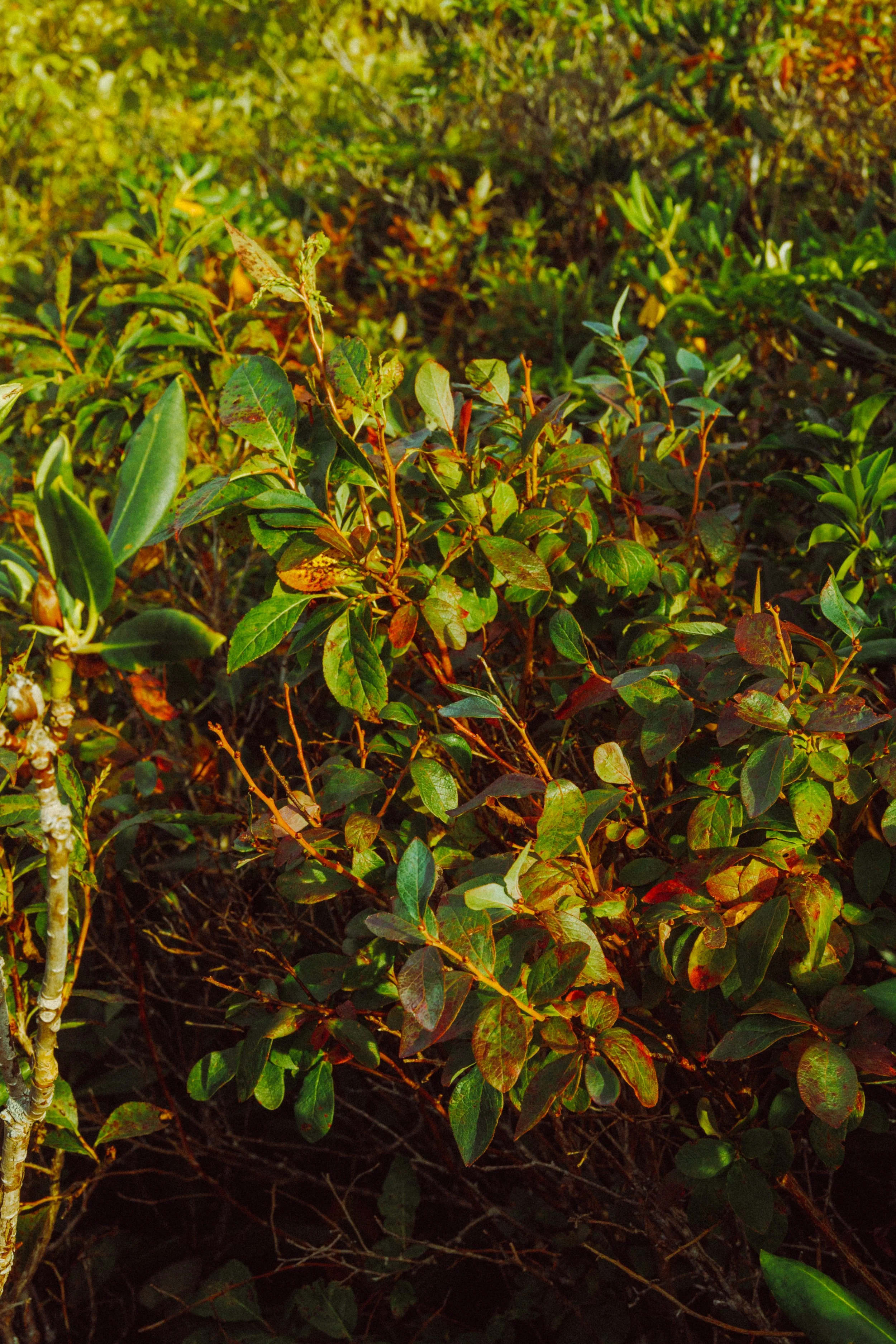 Hike w Friends_-4.jpg