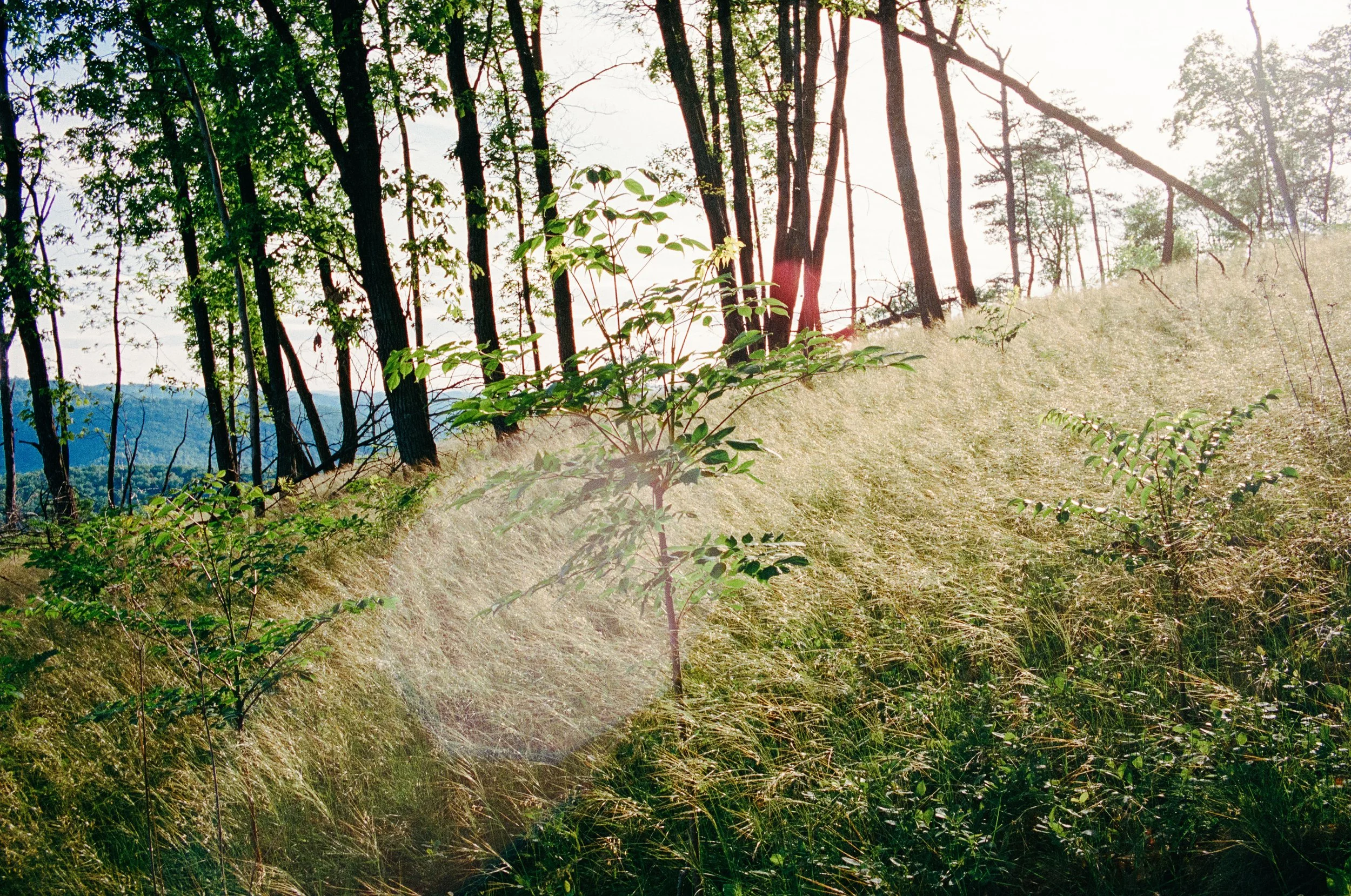 Website Images resized-38.jpg