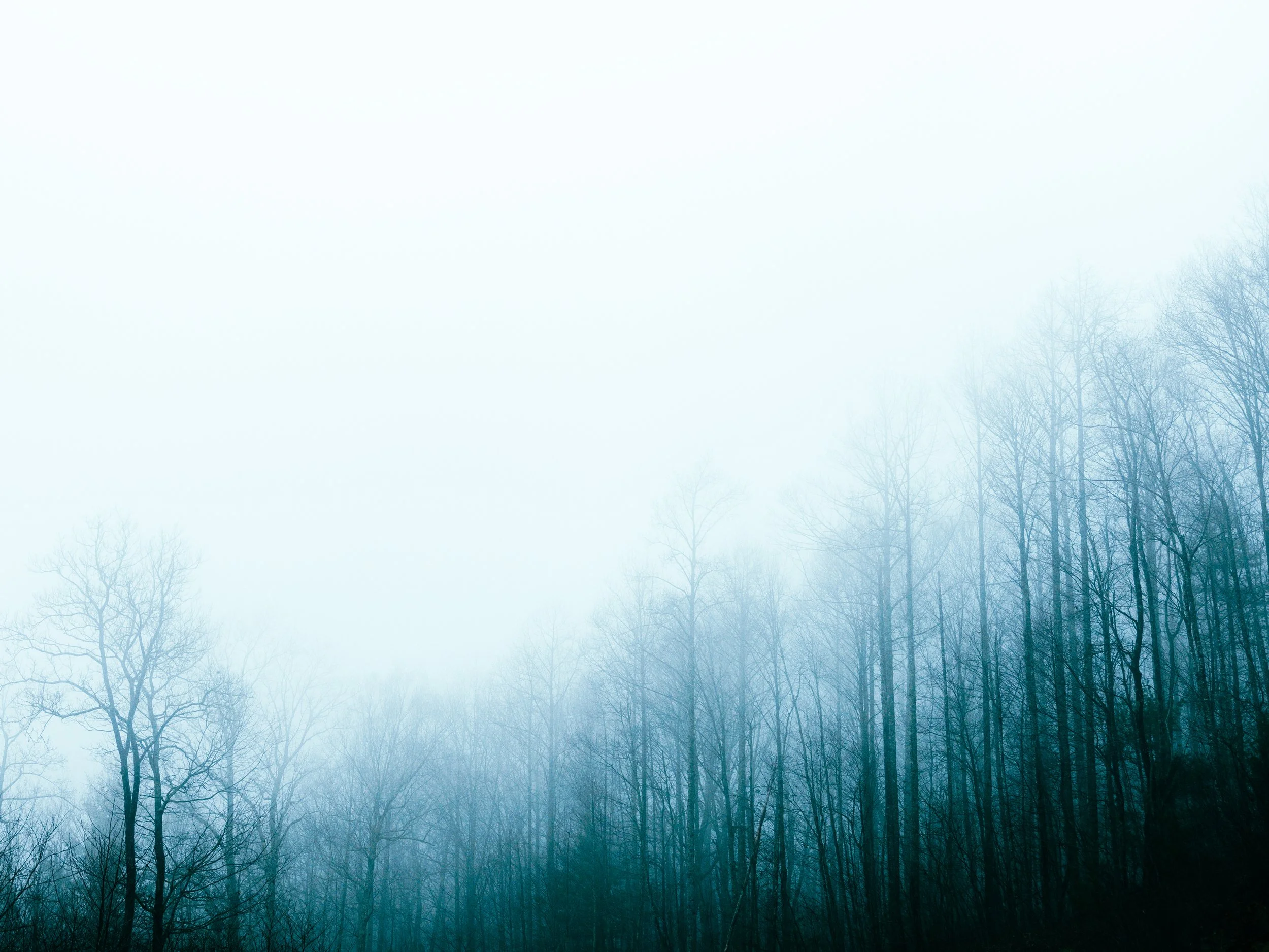 IMG_3757-Edit.jpg