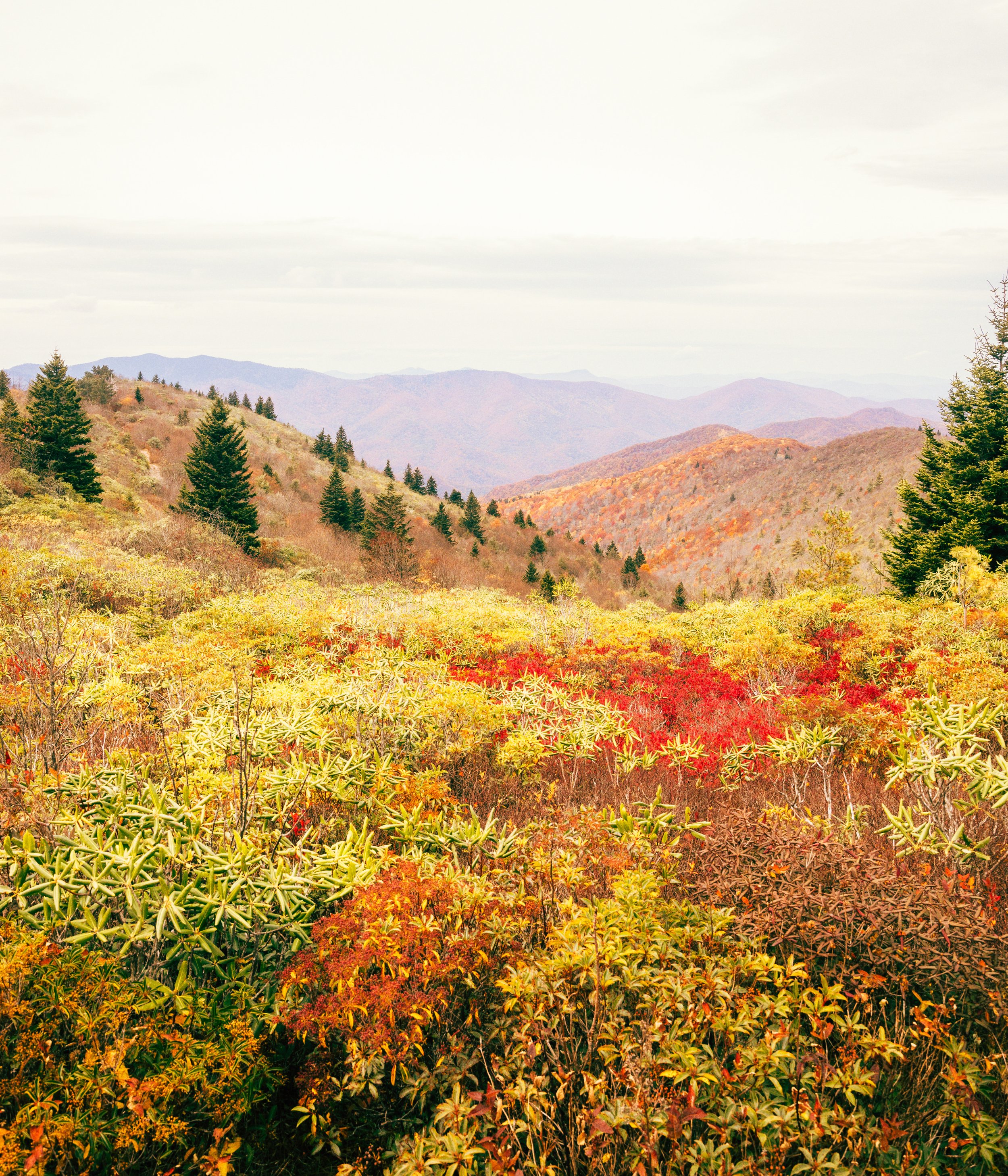 Website Images resized-3.jpg