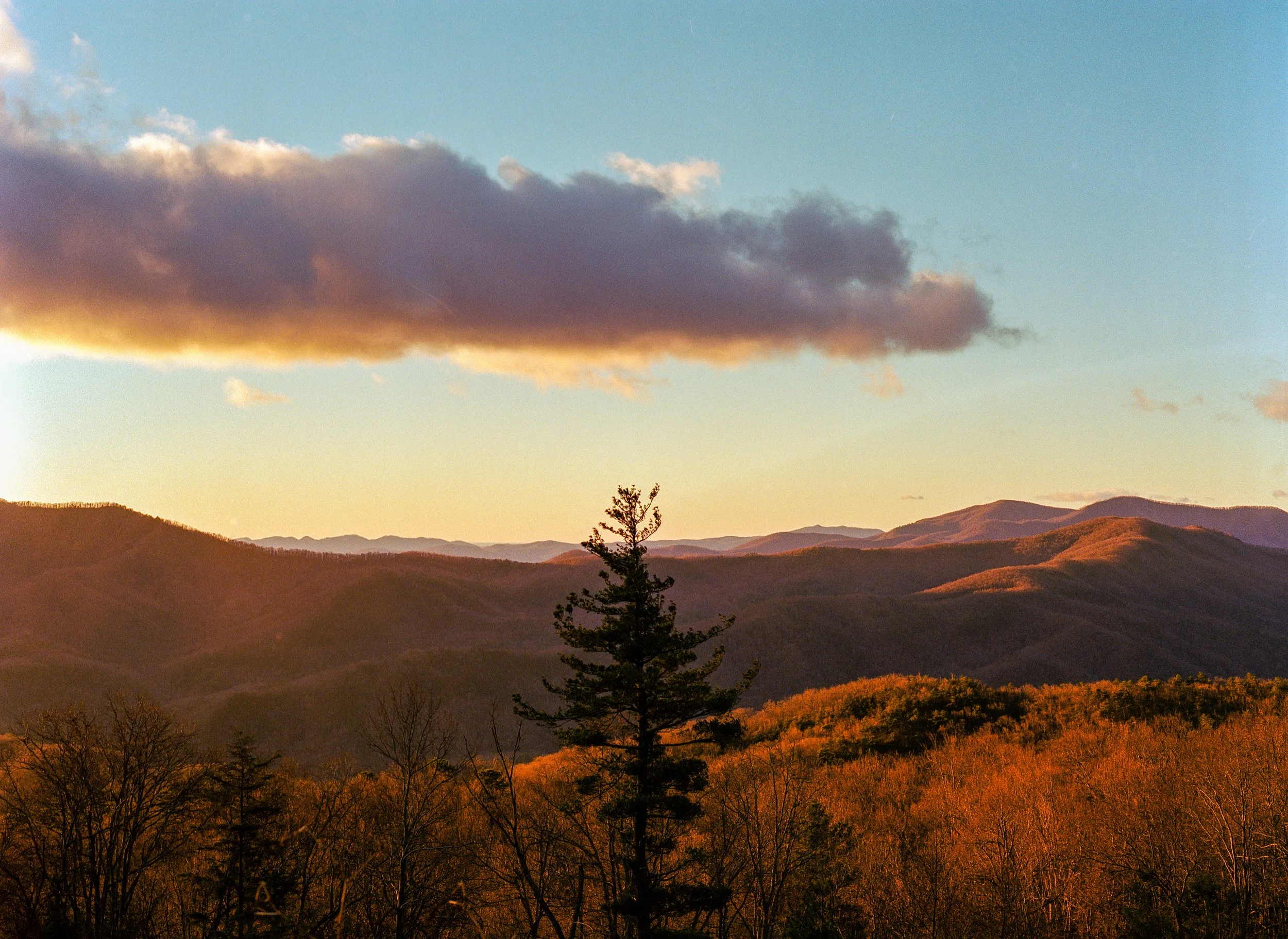 Website Images resized-9.jpg