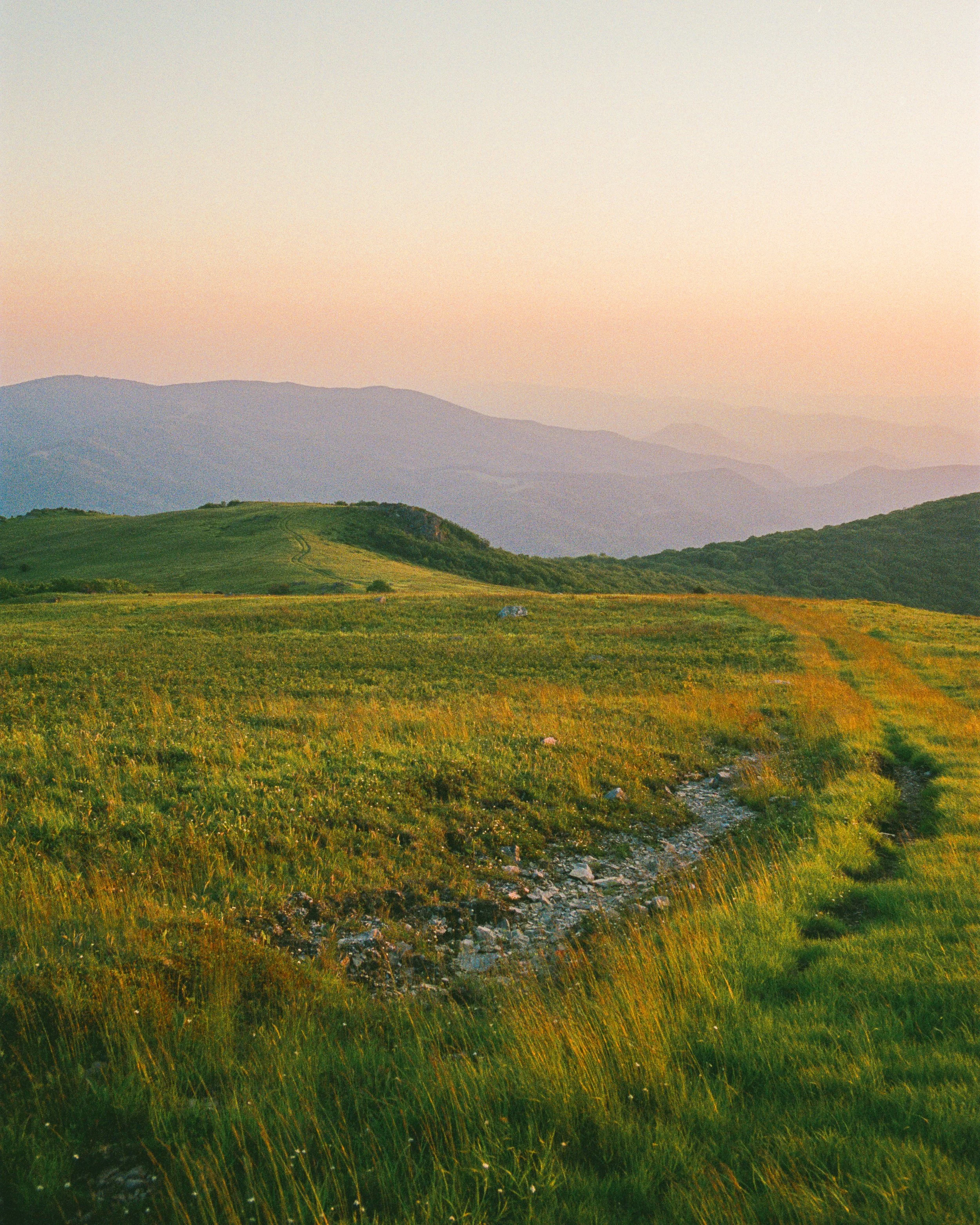 whitetop scape website 2.jpg