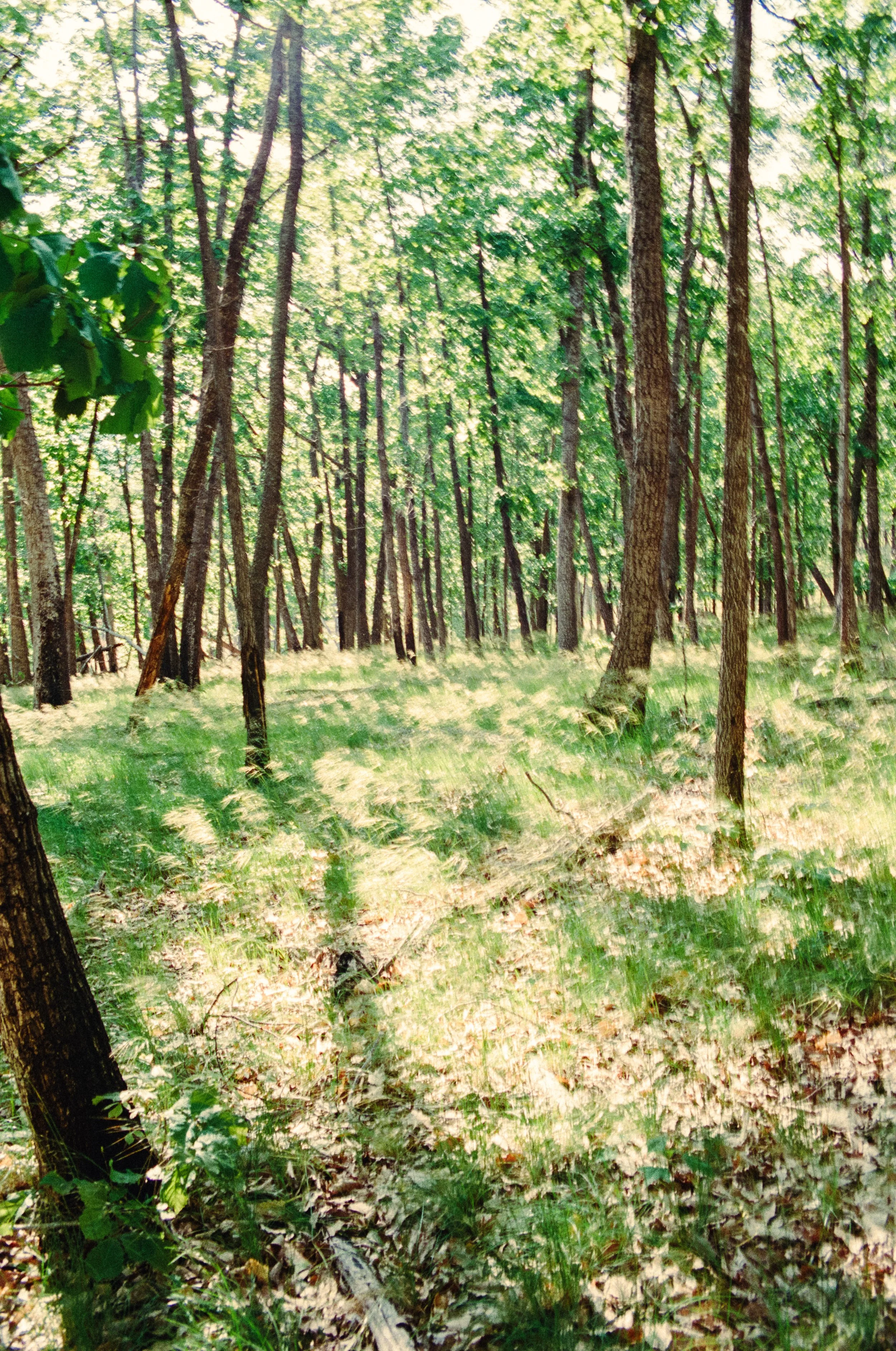 Website Images resized-31.jpg