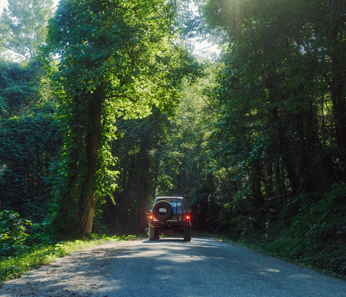 Website Images resized-48.jpg