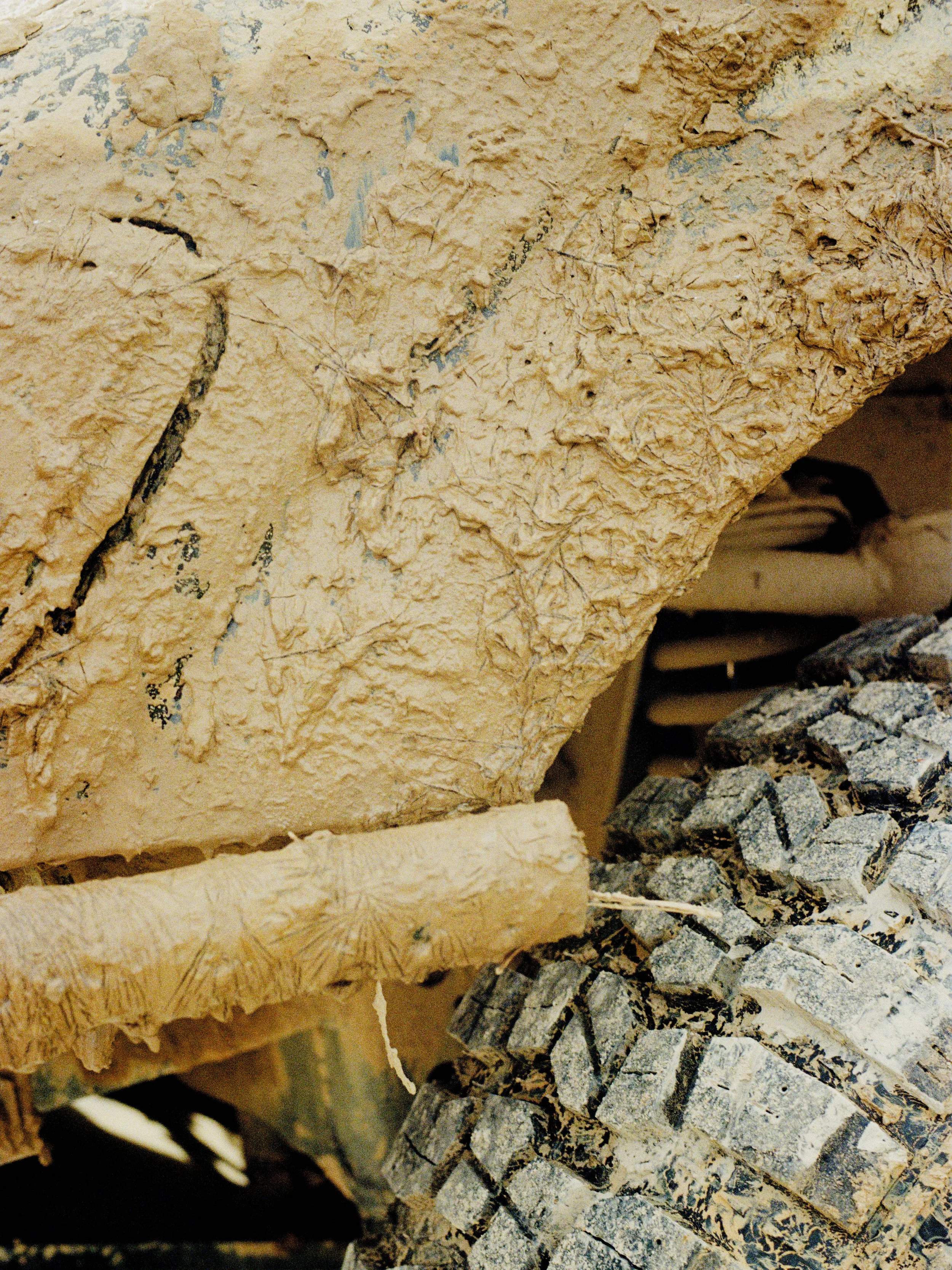 Website Images resized-52.jpg